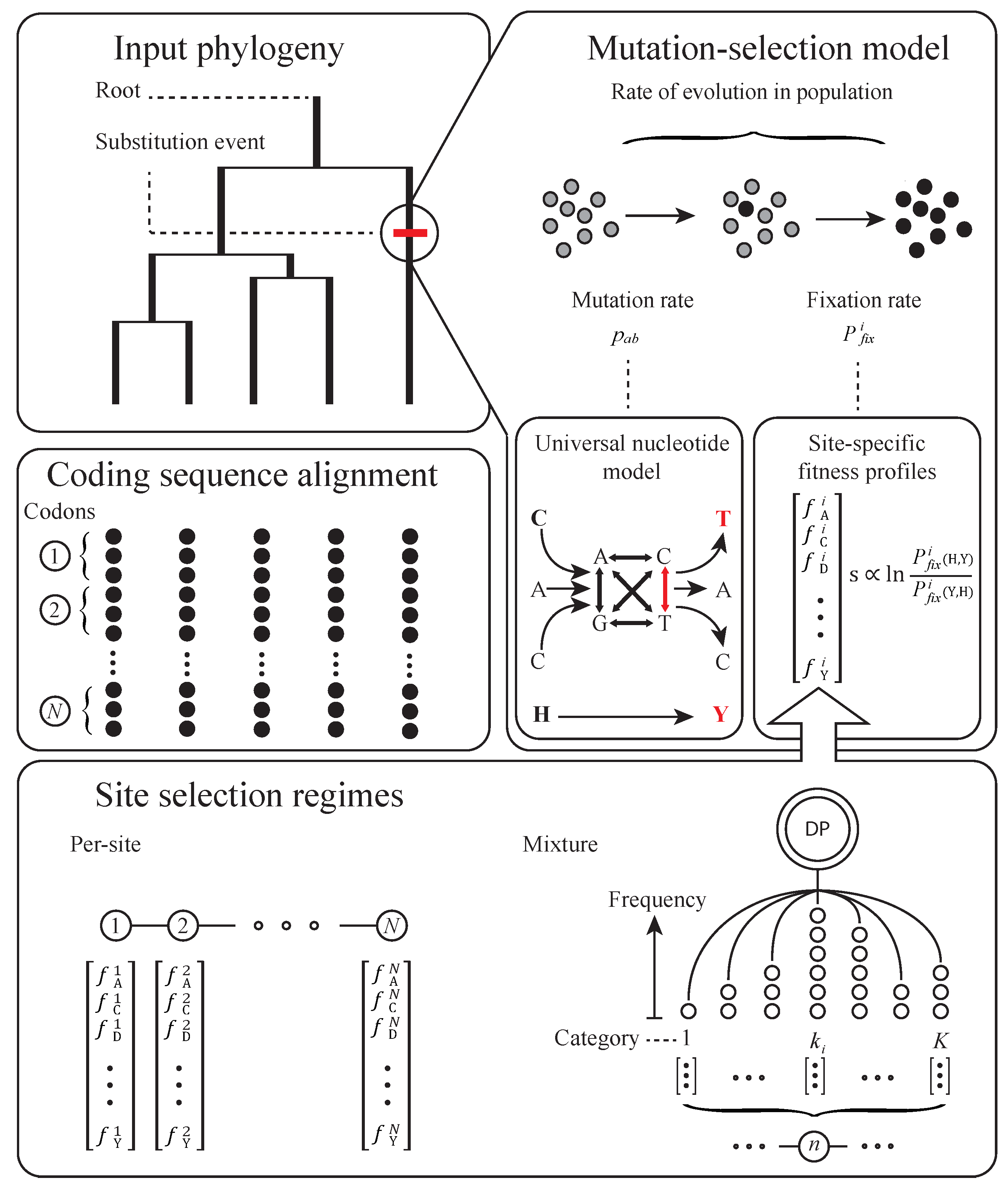 Genes 09 00409 g002 Genes 09 00409 g002
