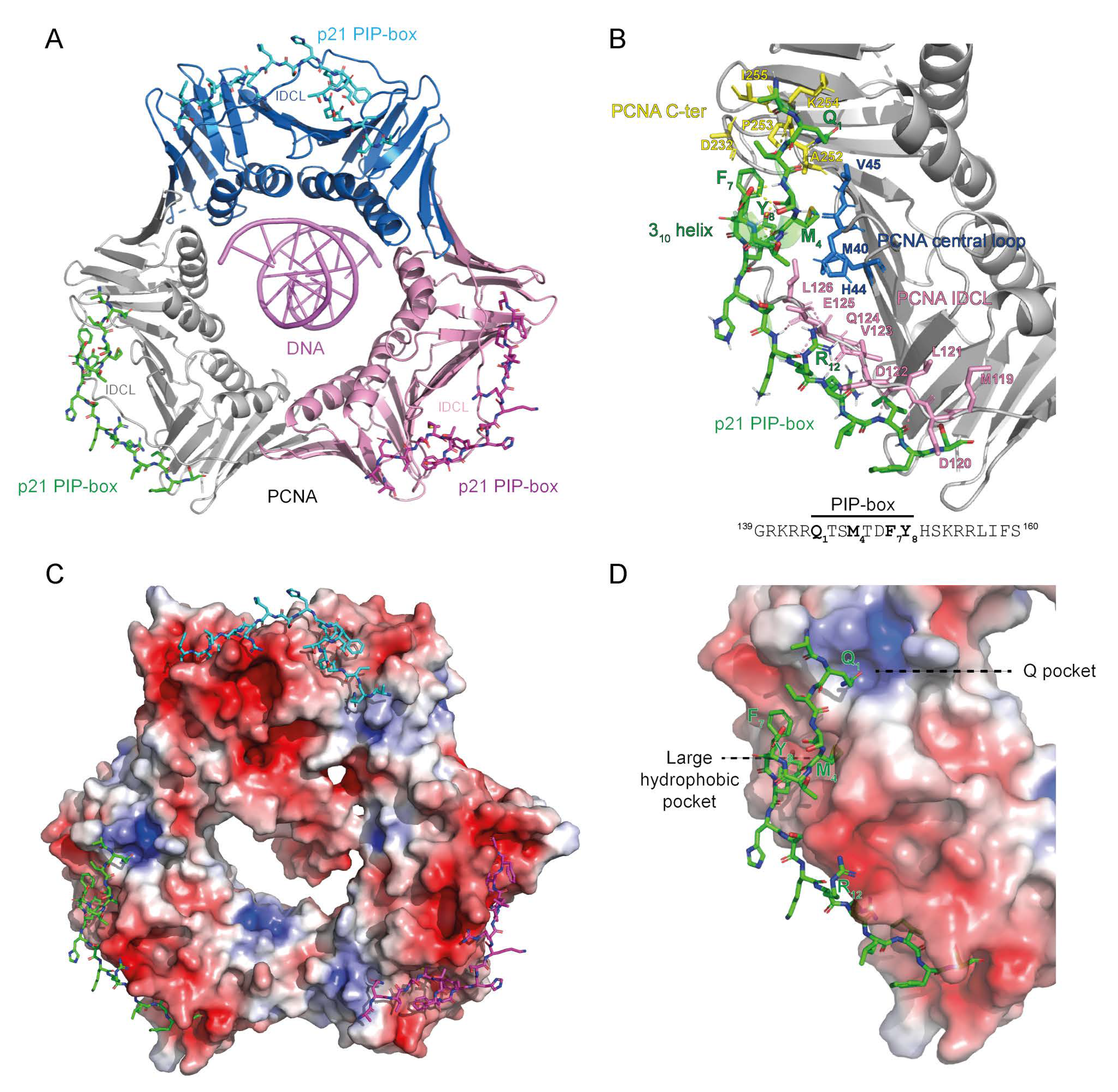 Genes 09 00416 g001 Genes 09 00416 g001