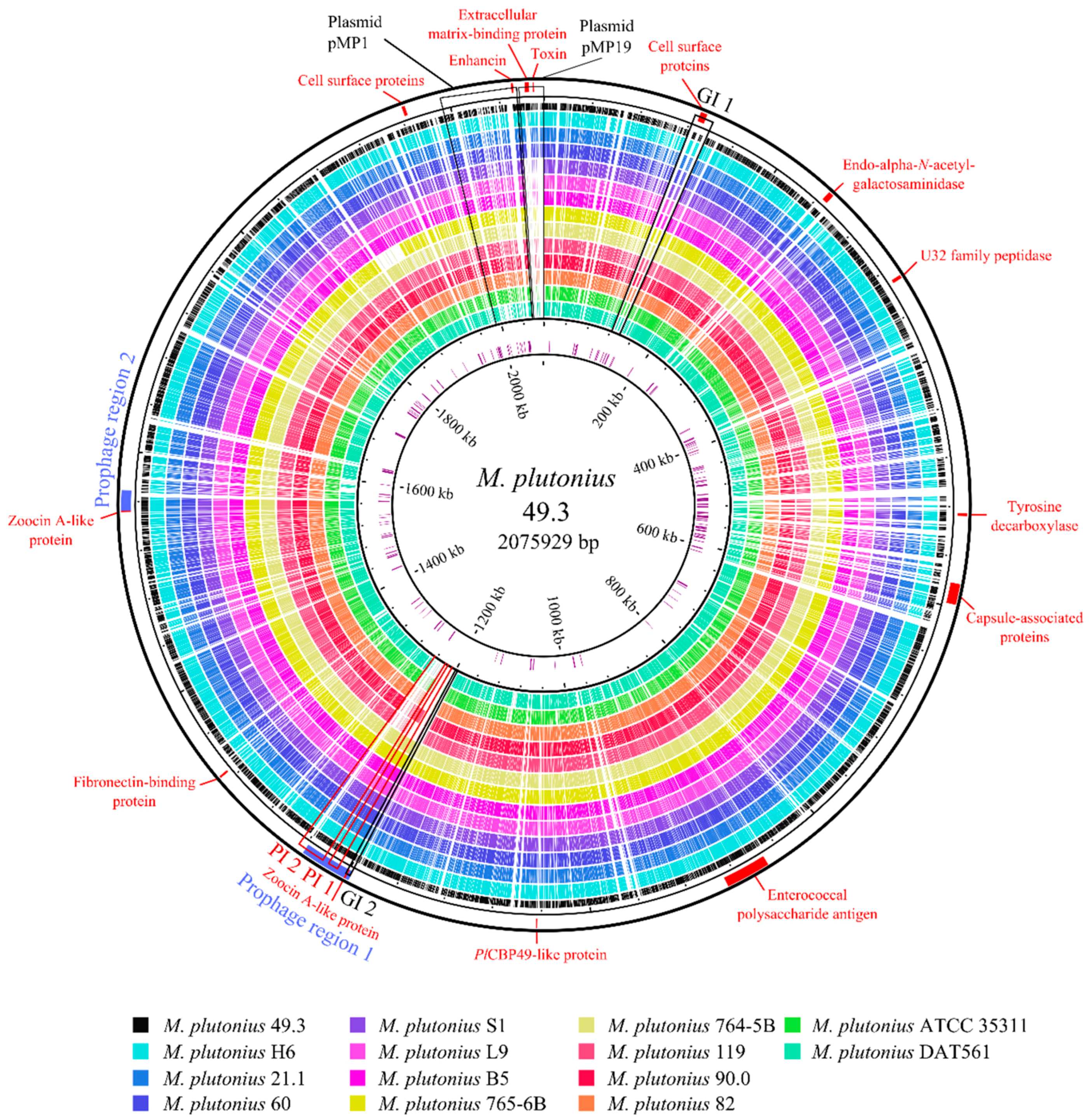 Genes 09 00419 g002