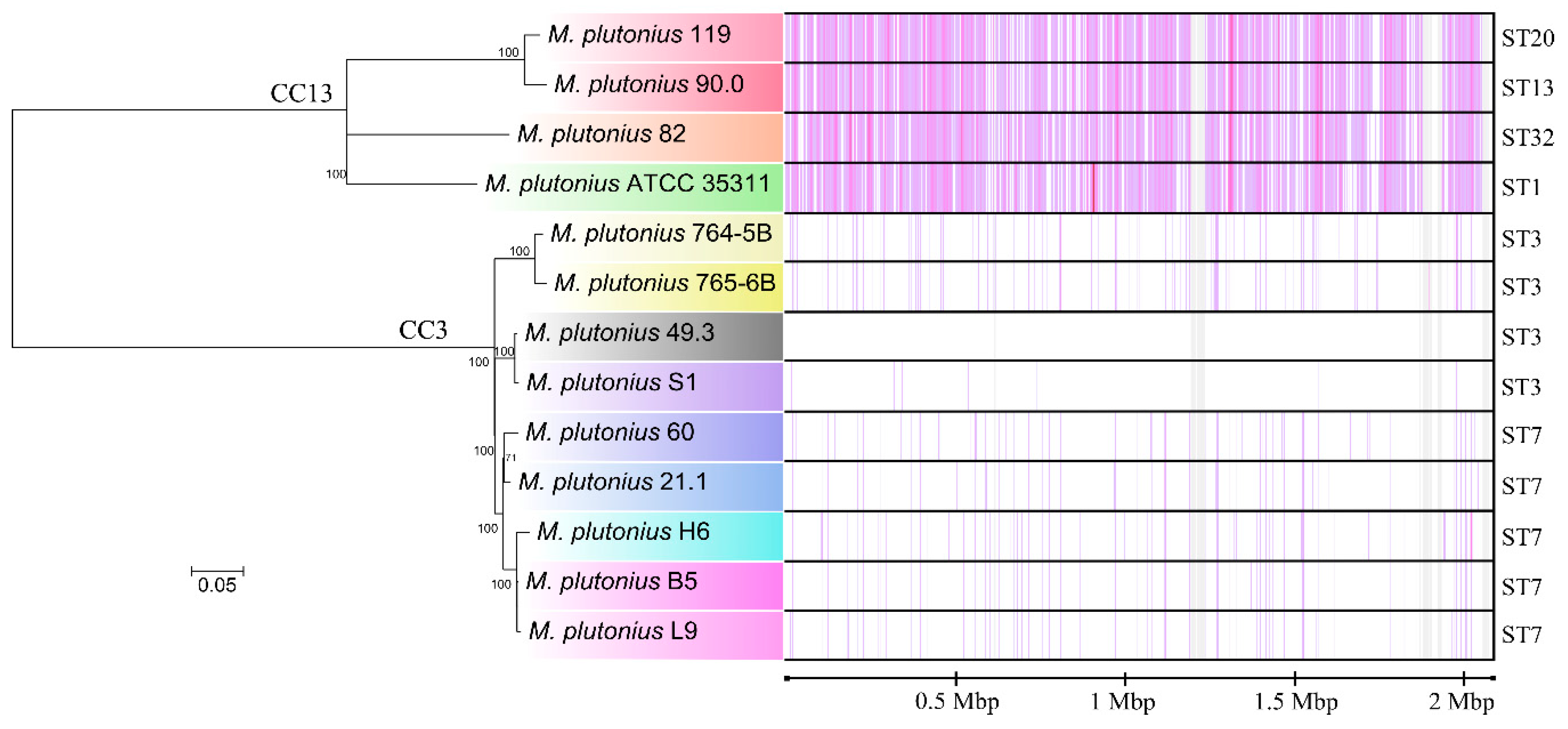 Genes 09 00419 g003