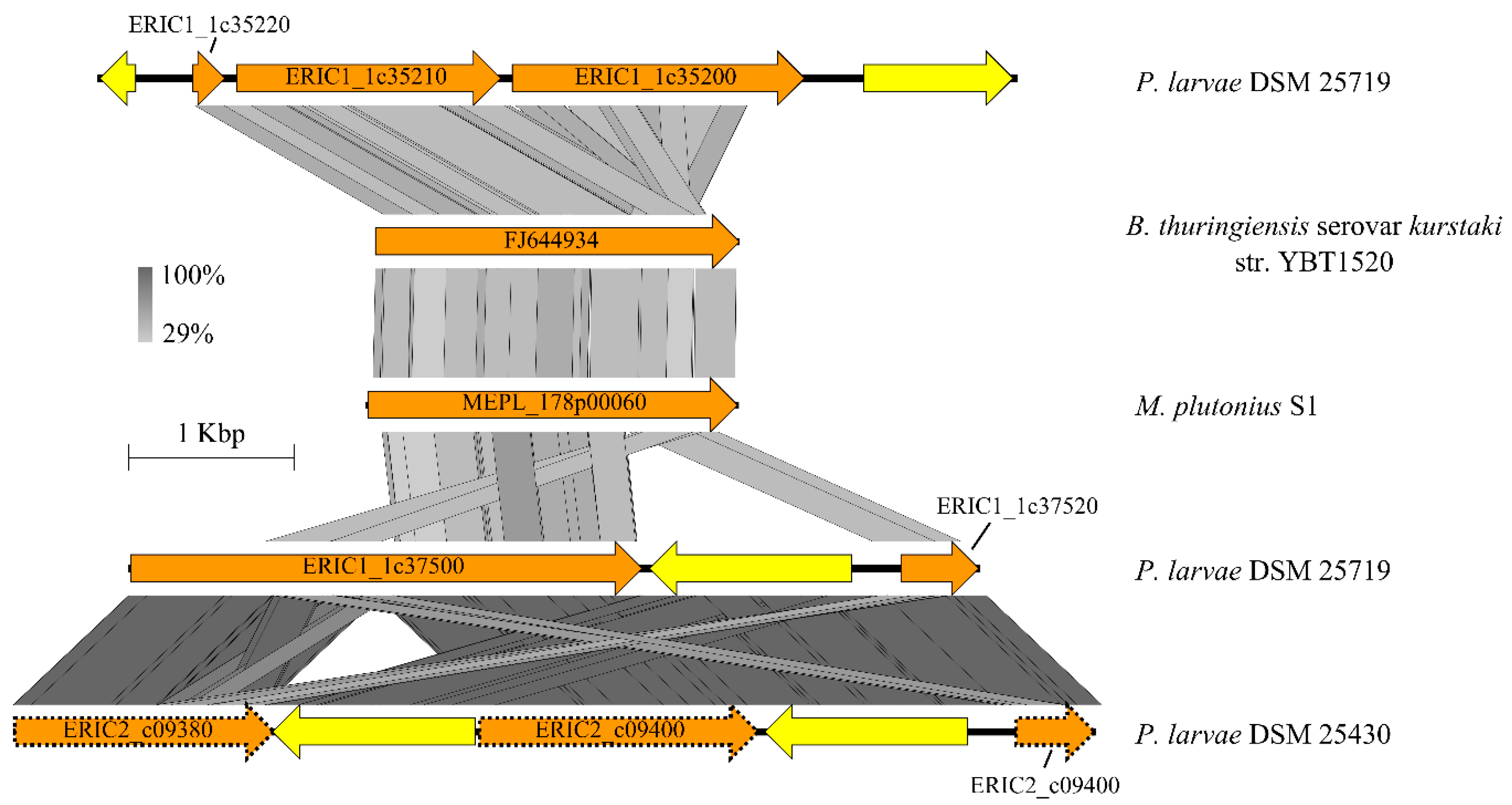 Genes 09 00419 g005