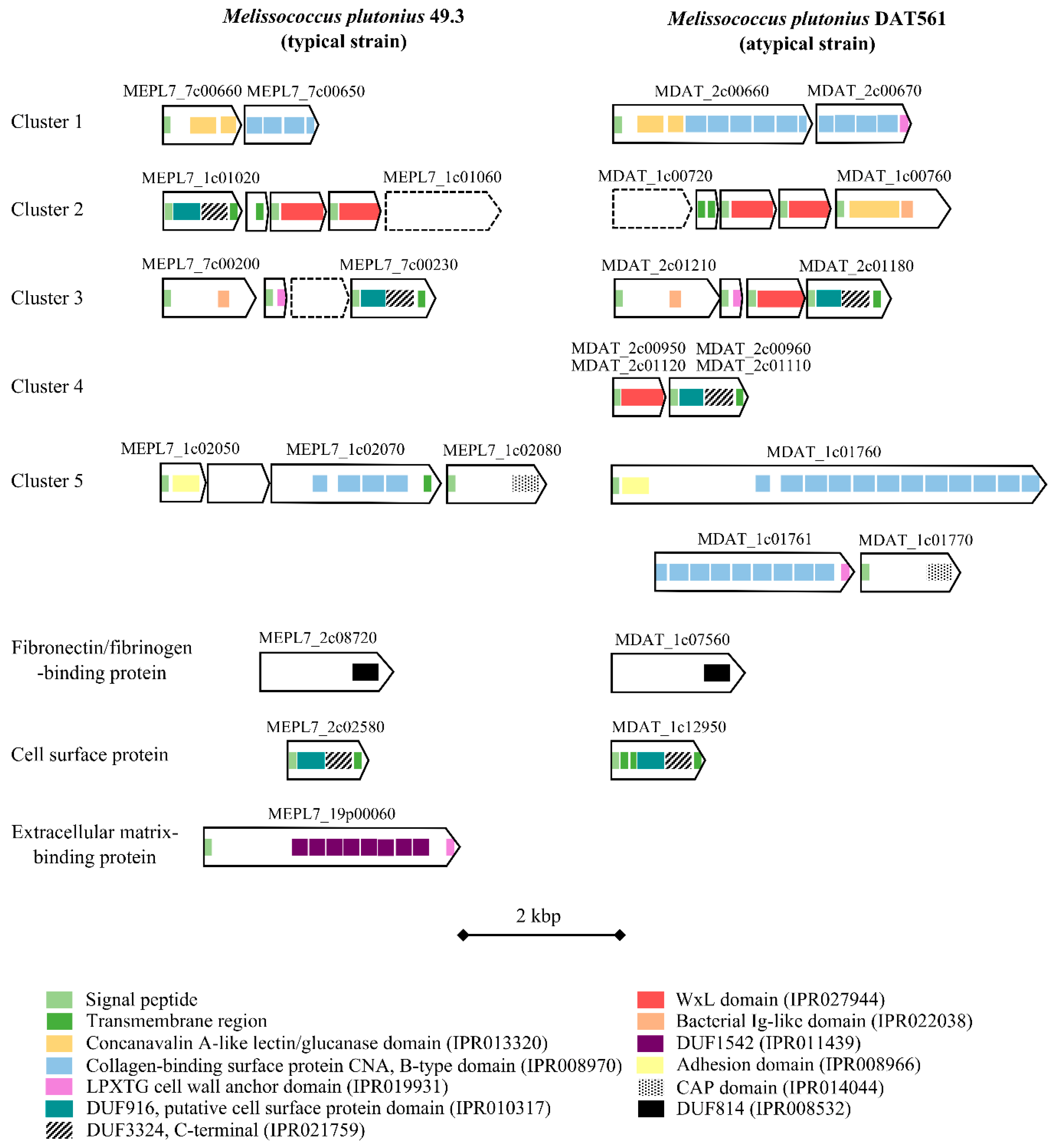 Genes 09 00419 g006