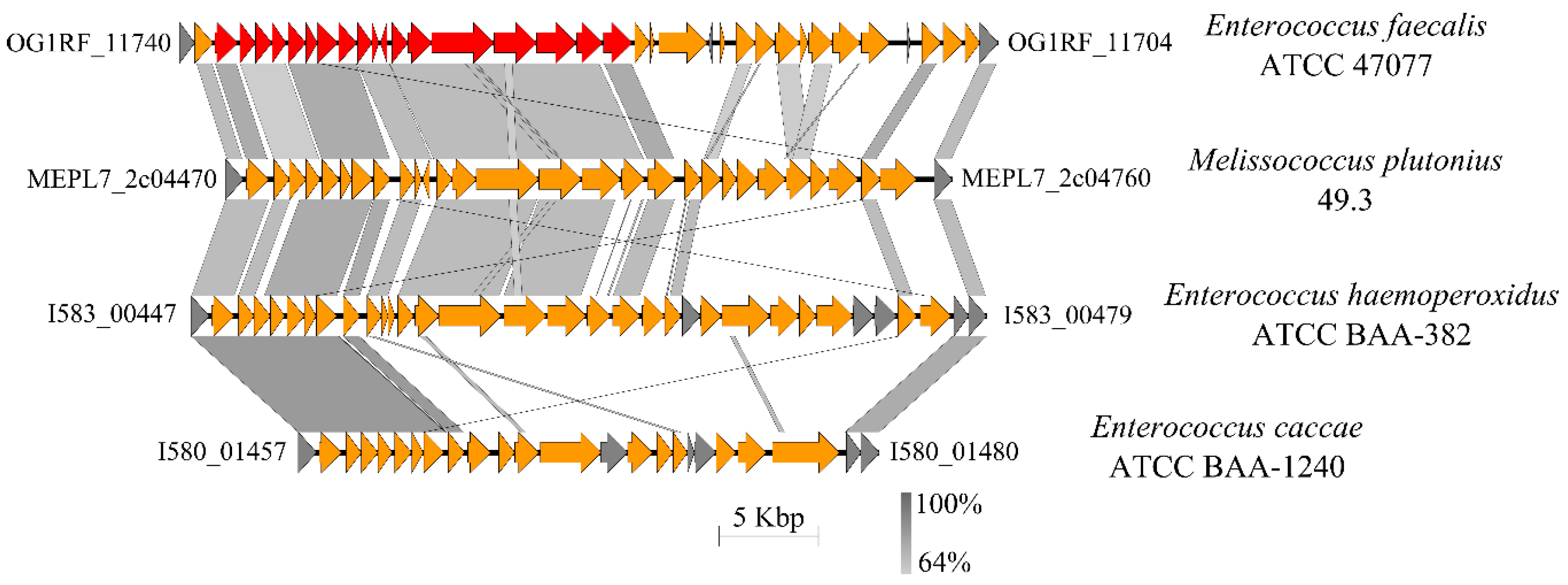Genes 09 00419 g007