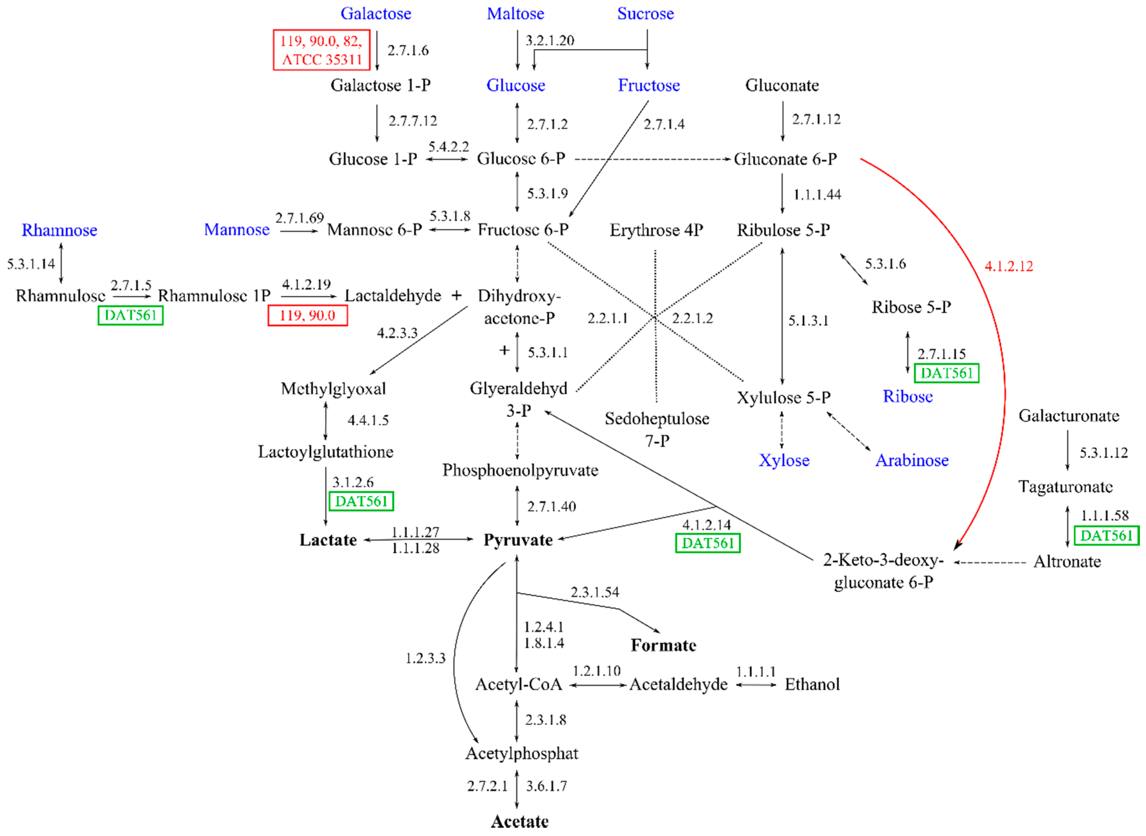 Genes 09 00419 g008