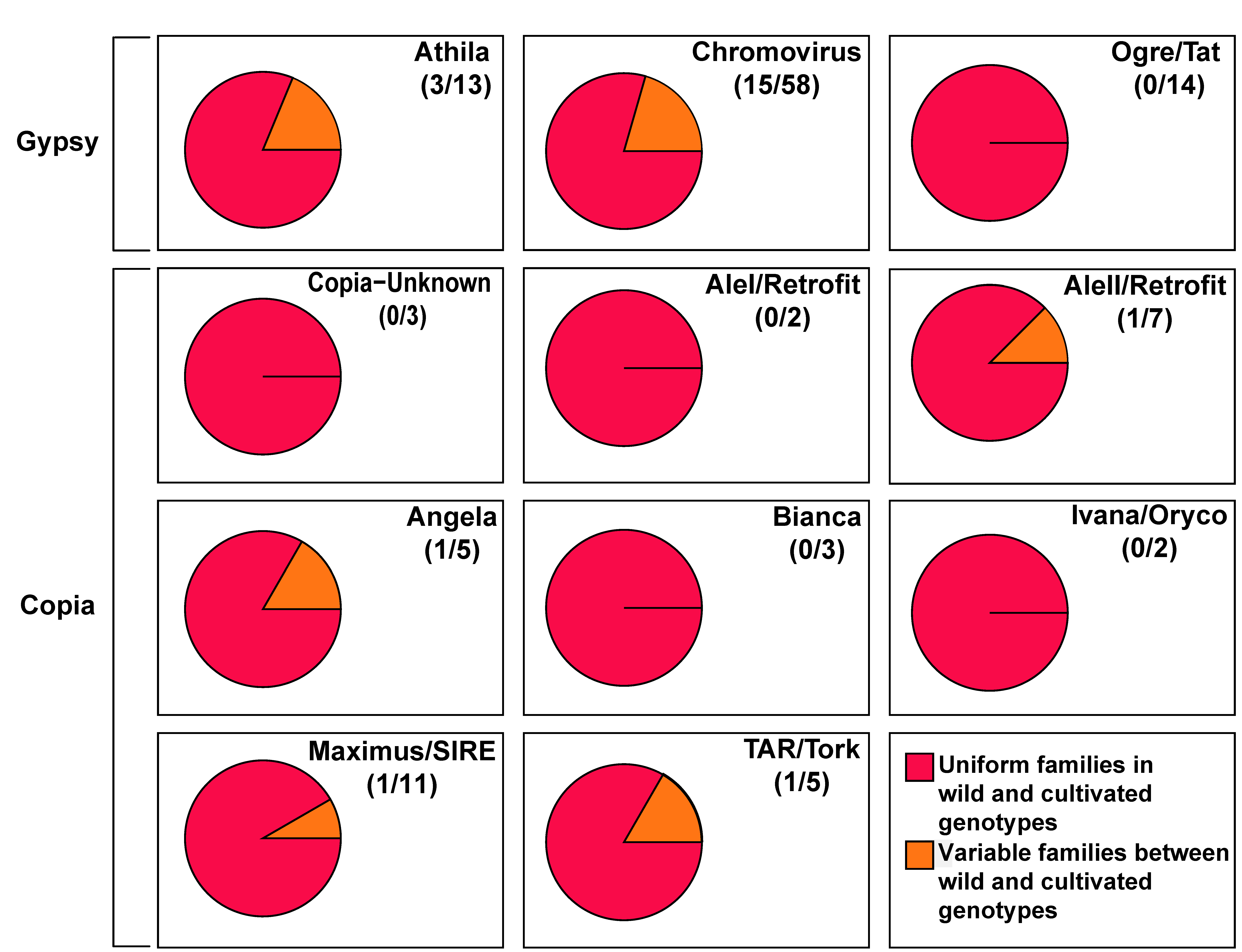Genes 09 00433 g003