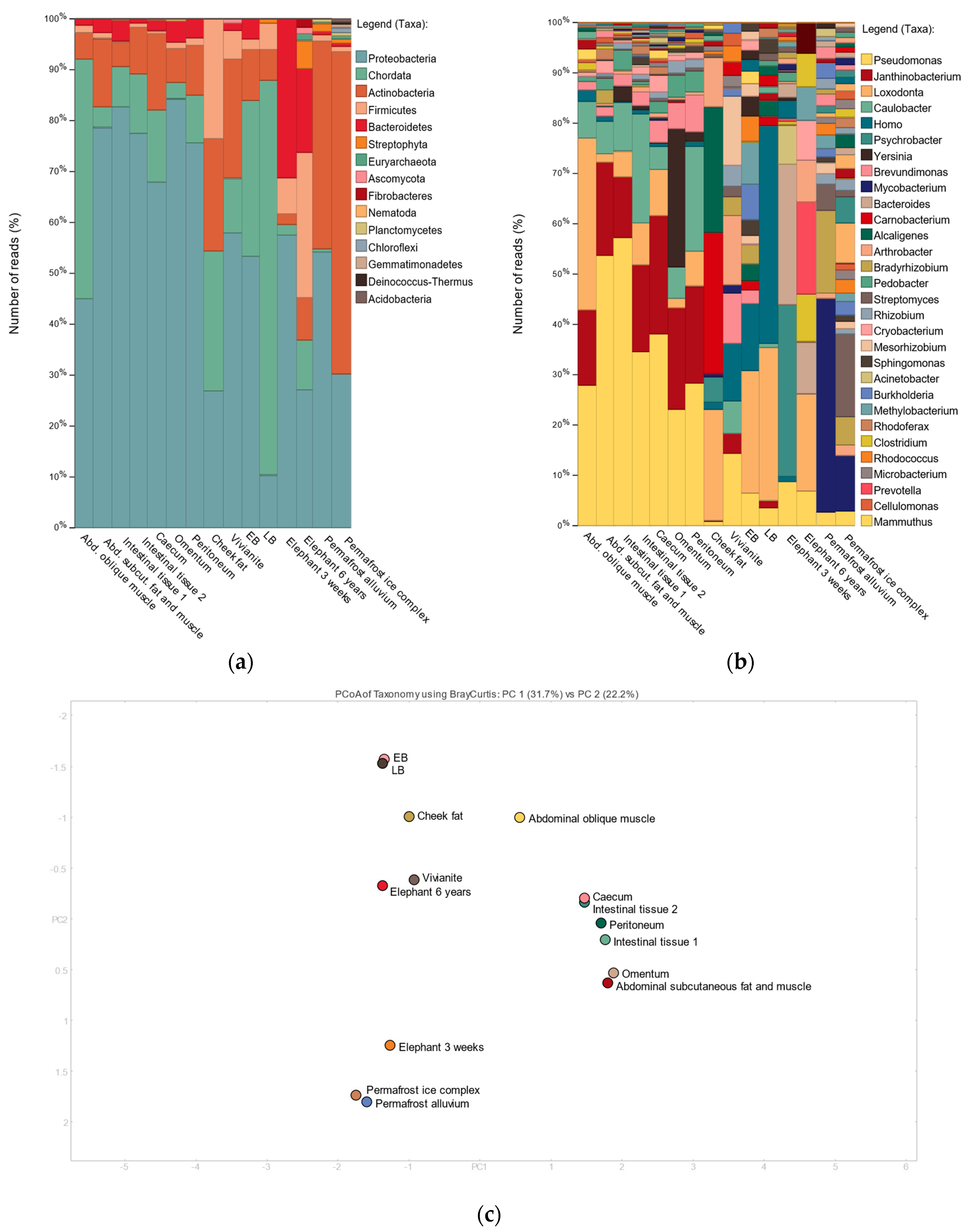 Genes 09 00436 g003