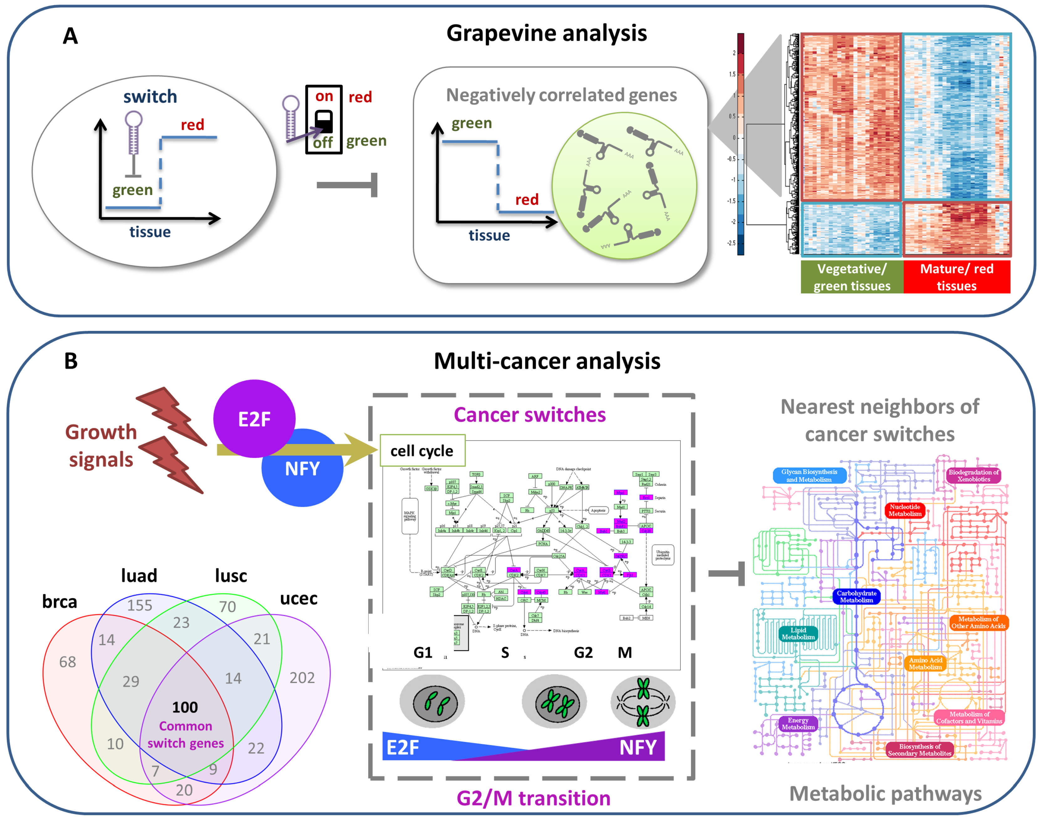 Genes 09 00437 g006a Genes 09 00437 g006a