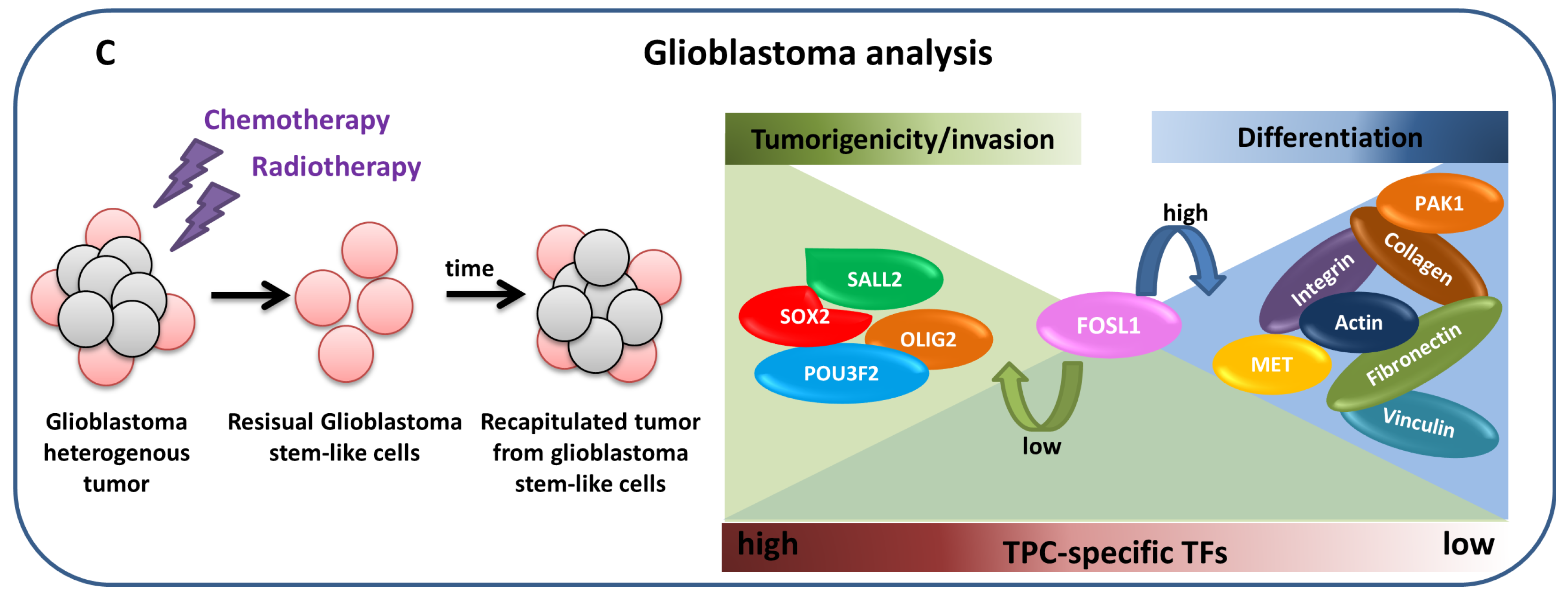 Genes 09 00437 g006b Genes 09 00437 g006b