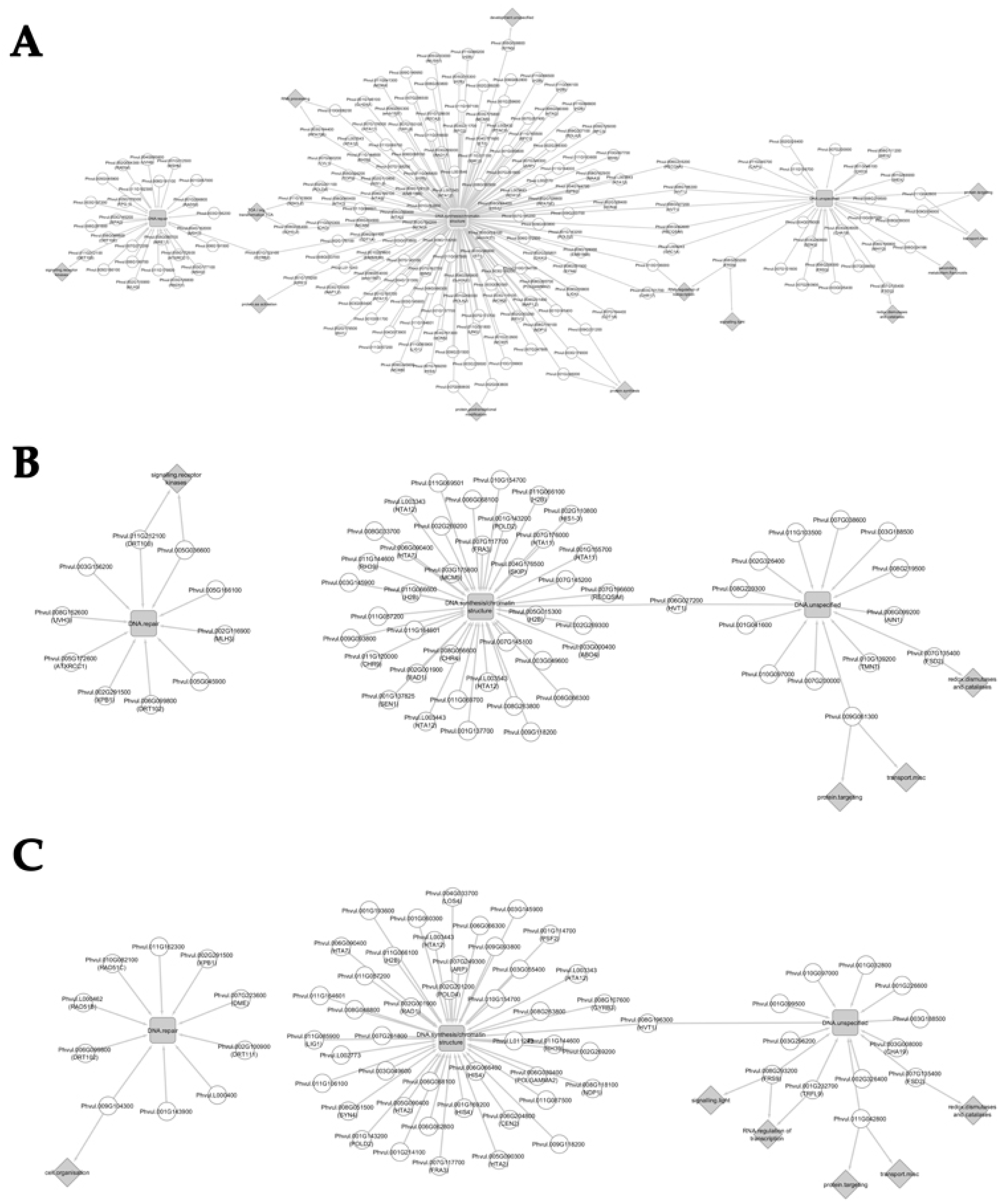 Genes 09 00463 g006 Genes 09 00463 g006