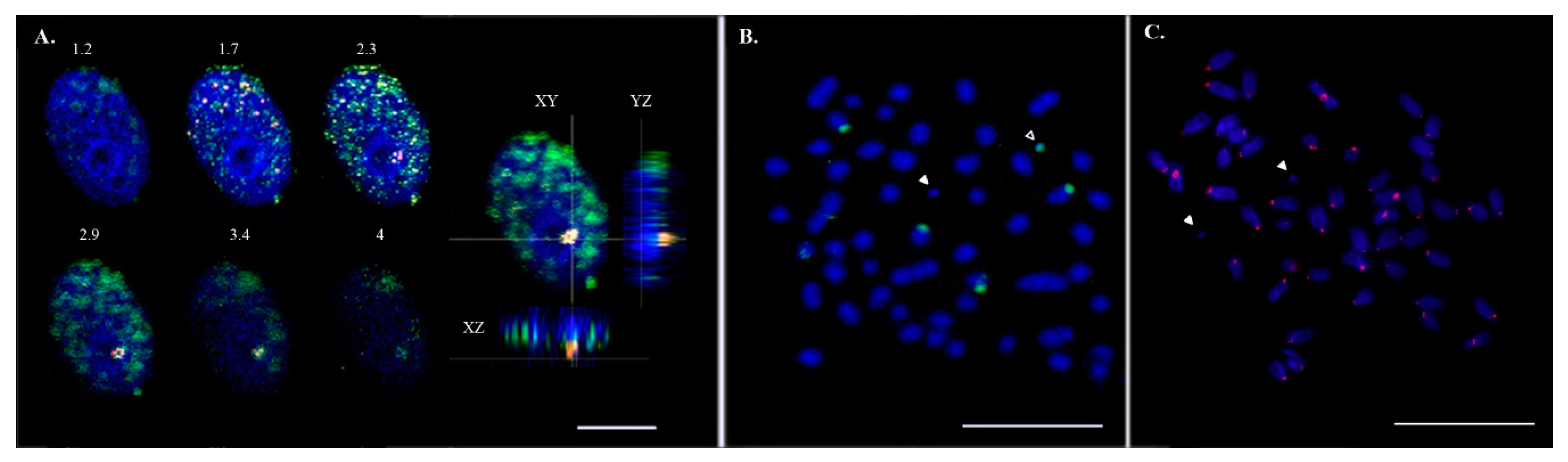 Genes 09 00464 g002 Genes 09 00464 g002