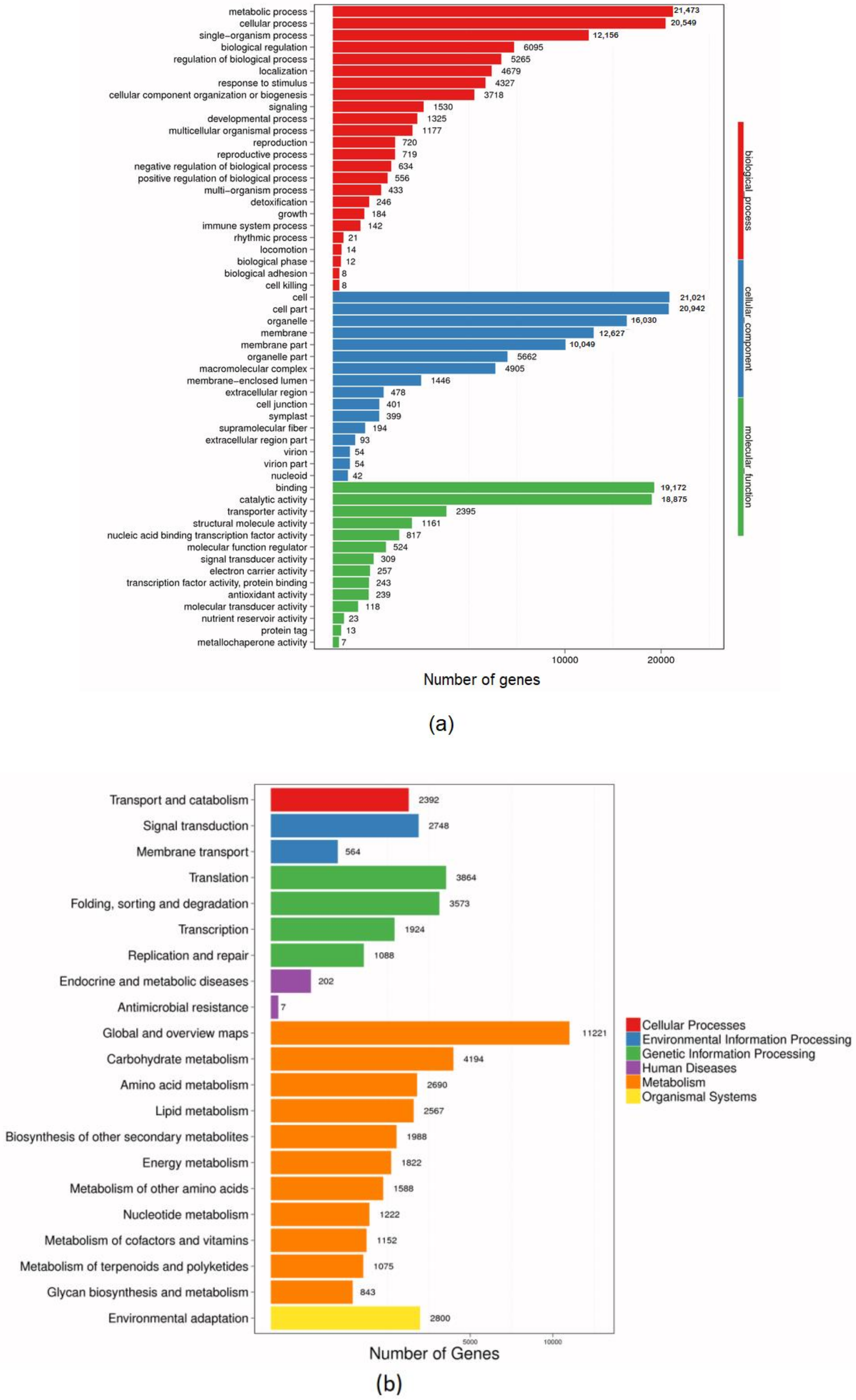 Genes 09 00466 g002a Genes 09 00466 g002a