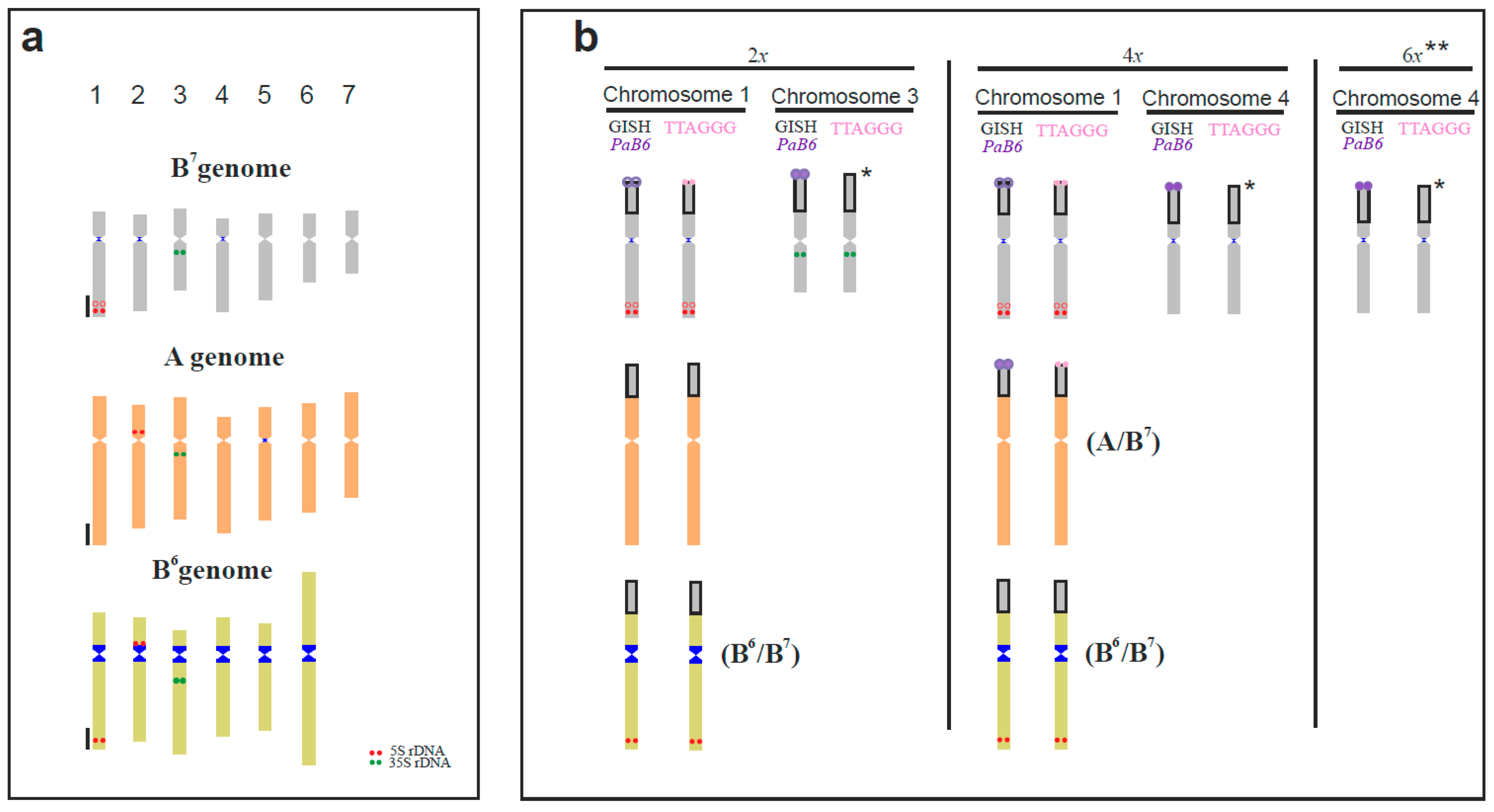 Genes 09 00468 g004 Genes 09 00468 g004
