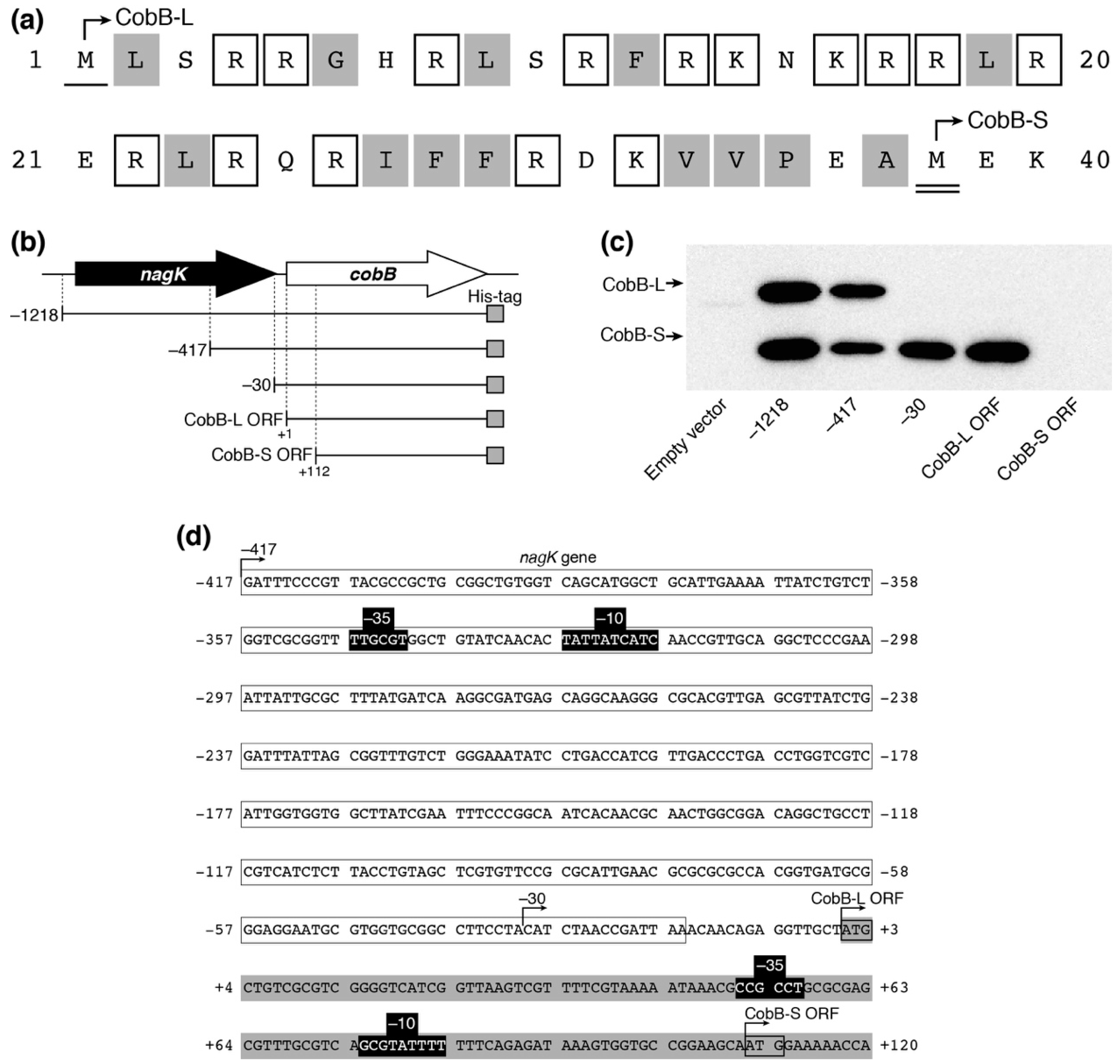 Genes 09 00473 g005 Genes 09 00473 g005