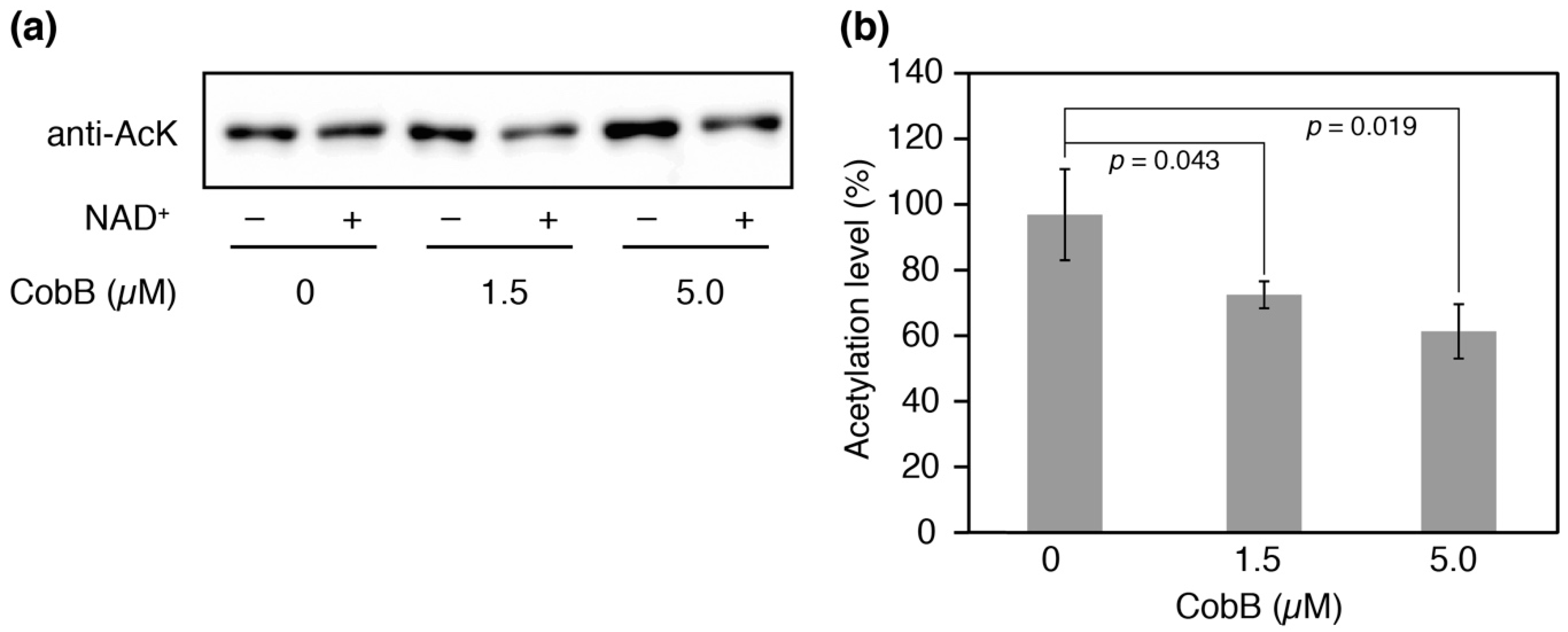 Genes 09 00473 g006 Genes 09 00473 g006