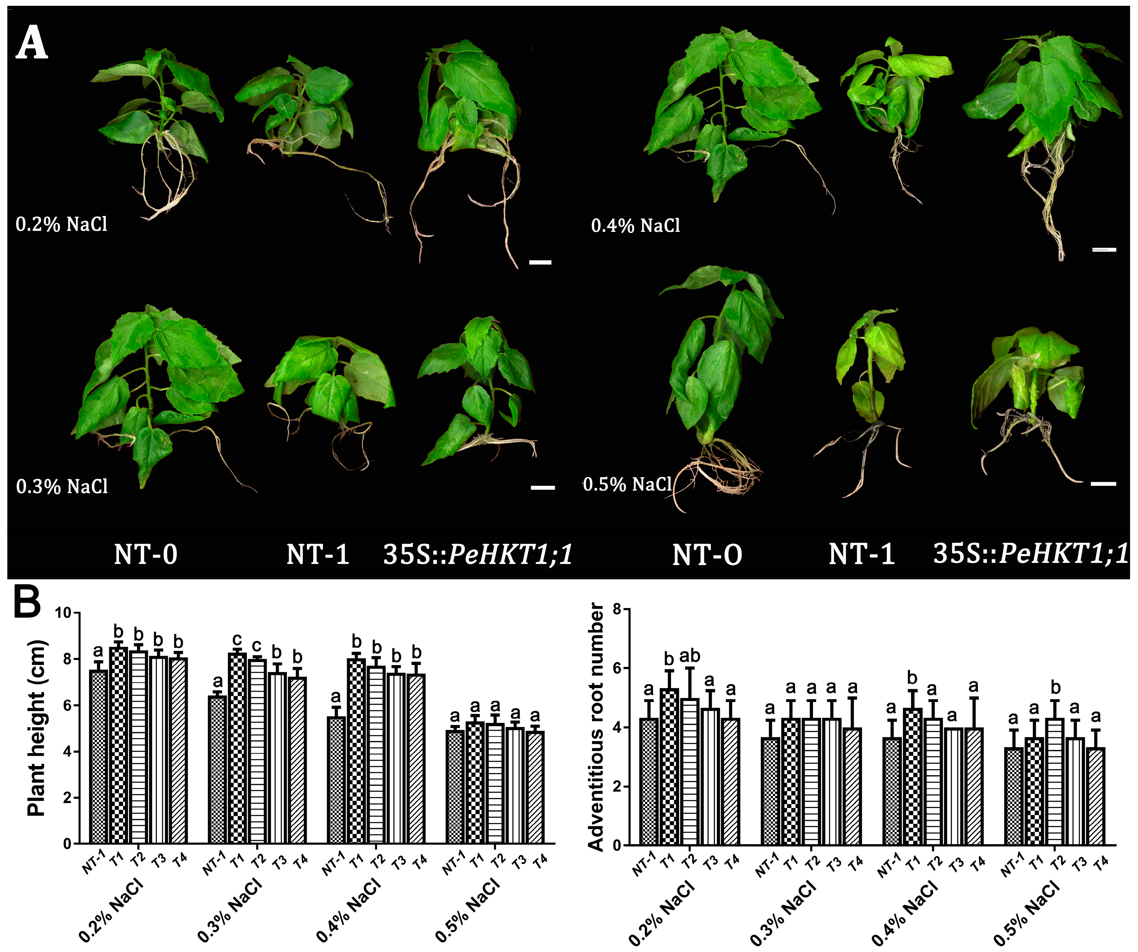 Genes 09 00475 g005 Genes 09 00475 g005