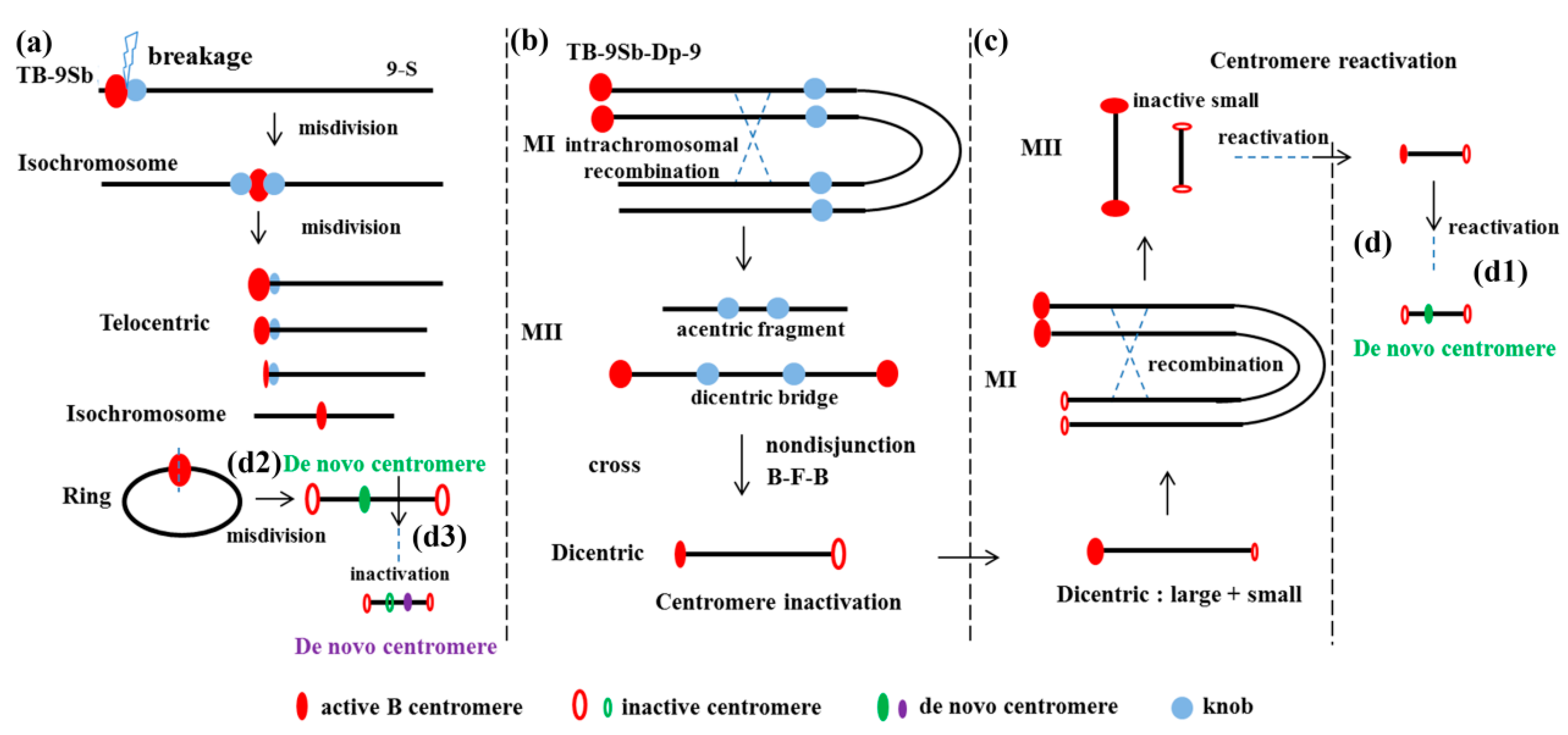Genes 09 00476 g002 Genes 09 00476 g002