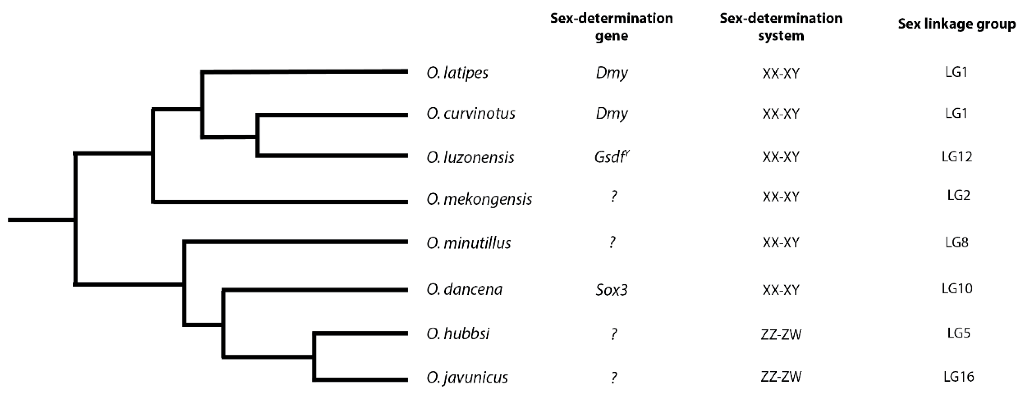 Genes 09 00480 g001