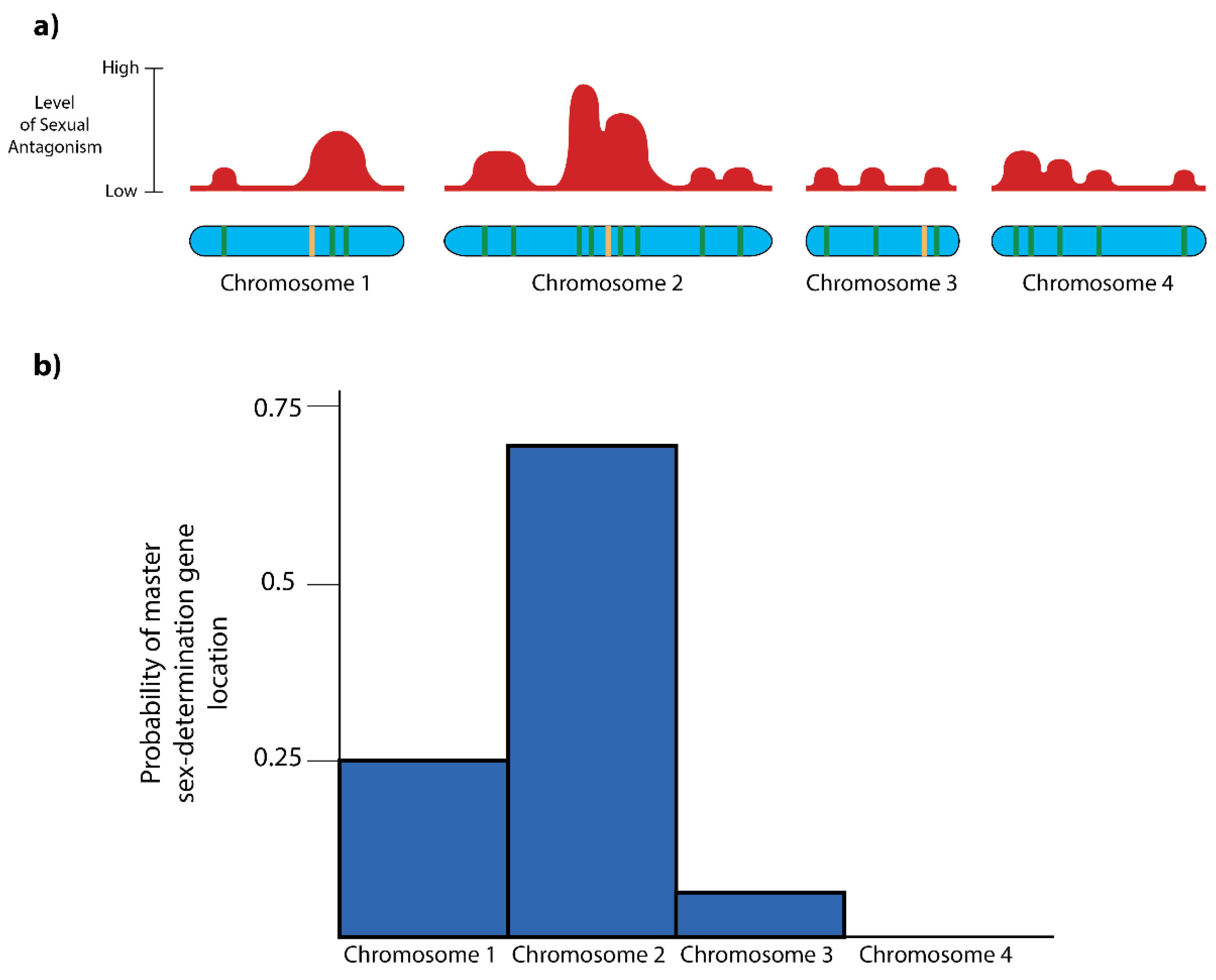 Genes 09 00480 g003