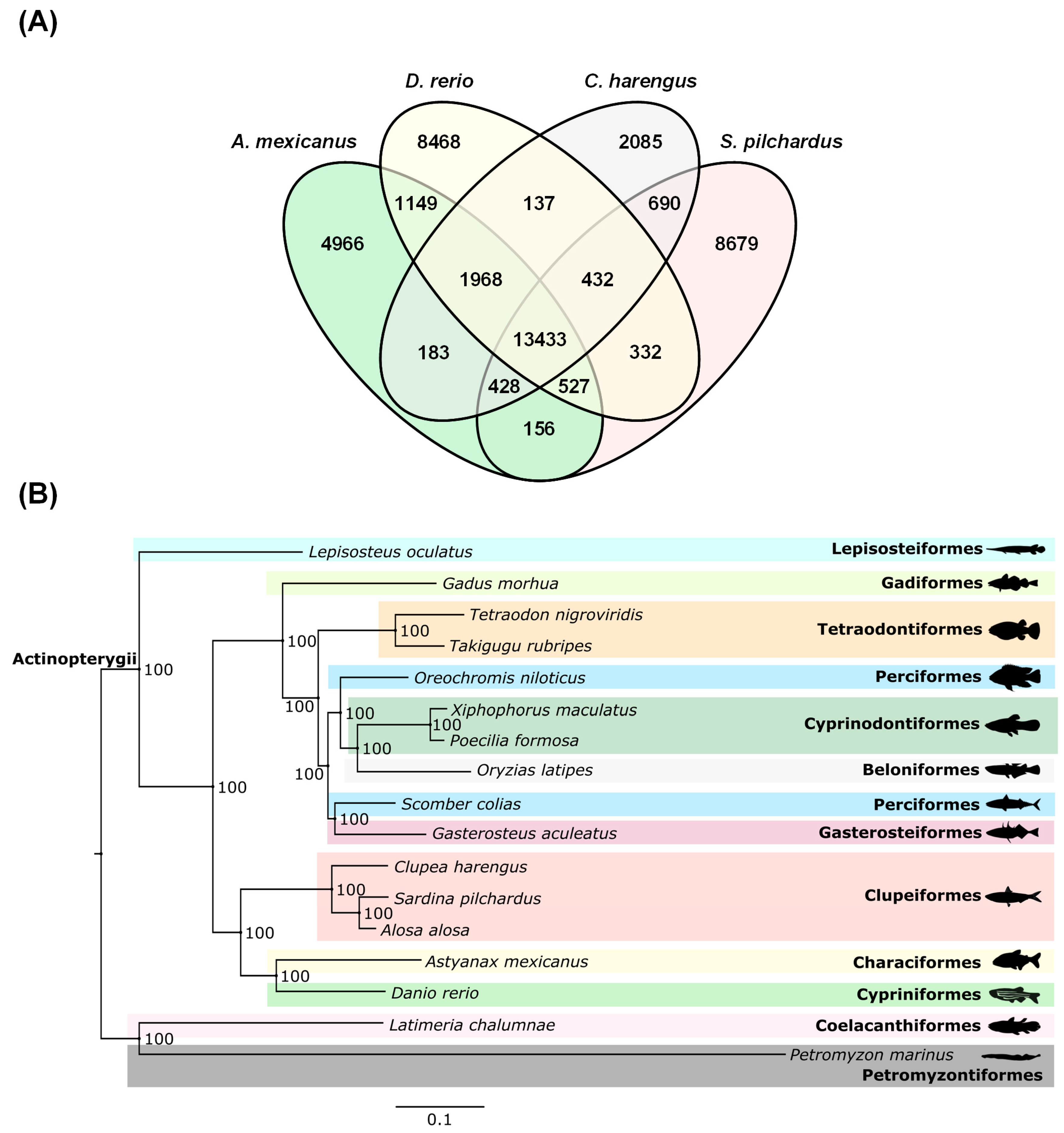 Genes 09 00485 g002 Genes 09 00485 g002