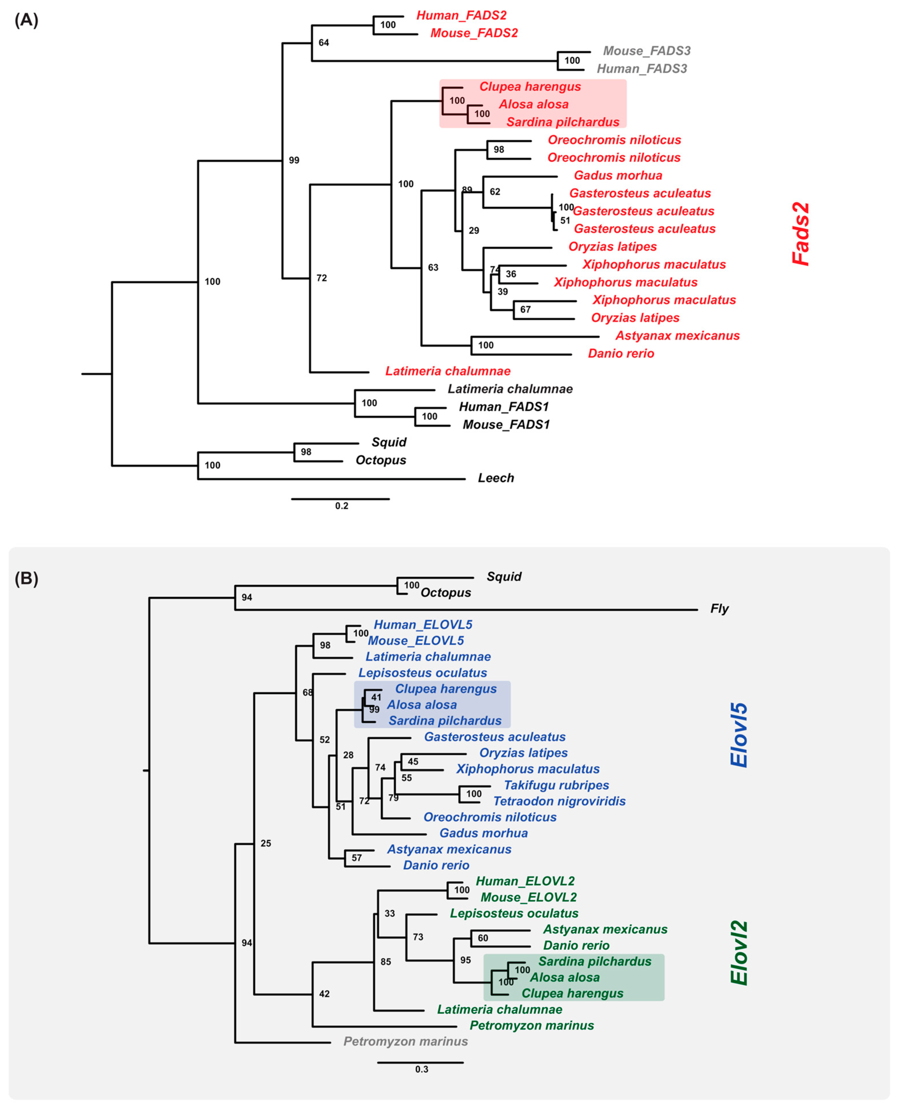 Genes 09 00485 g003a Genes 09 00485 g003a
