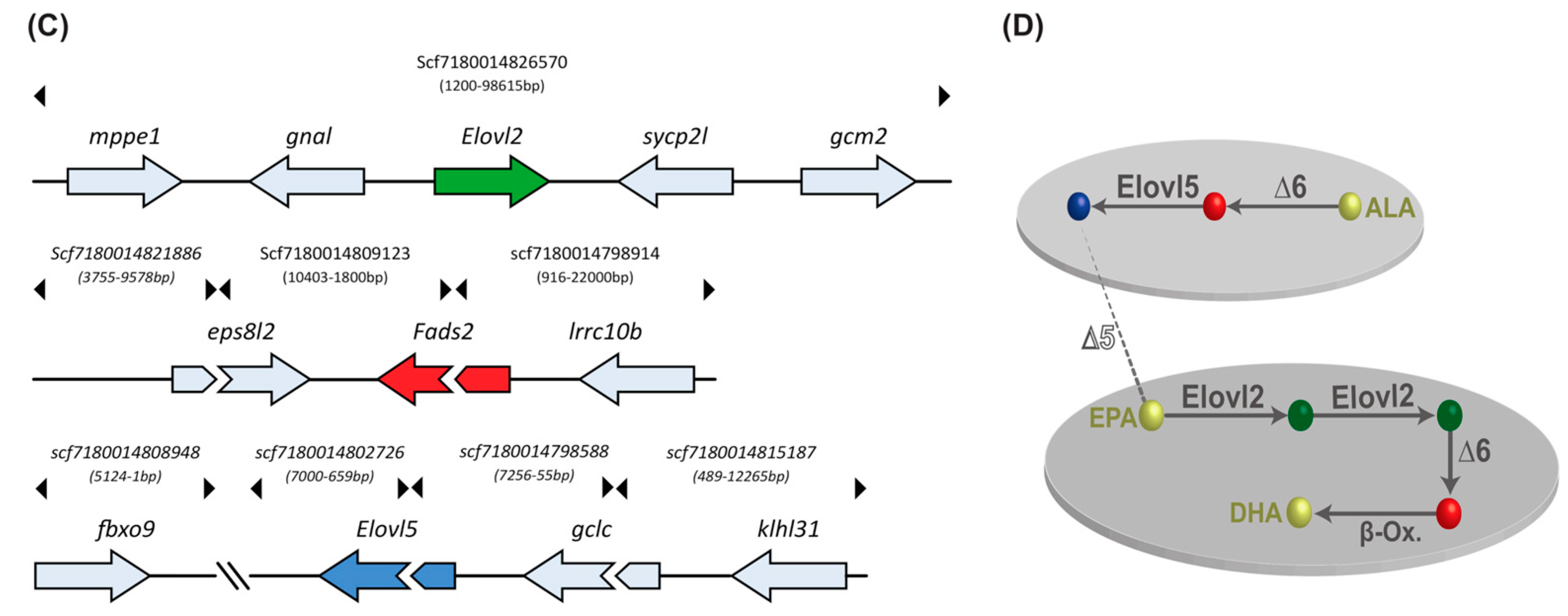 Genes 09 00485 g003b Genes 09 00485 g003b