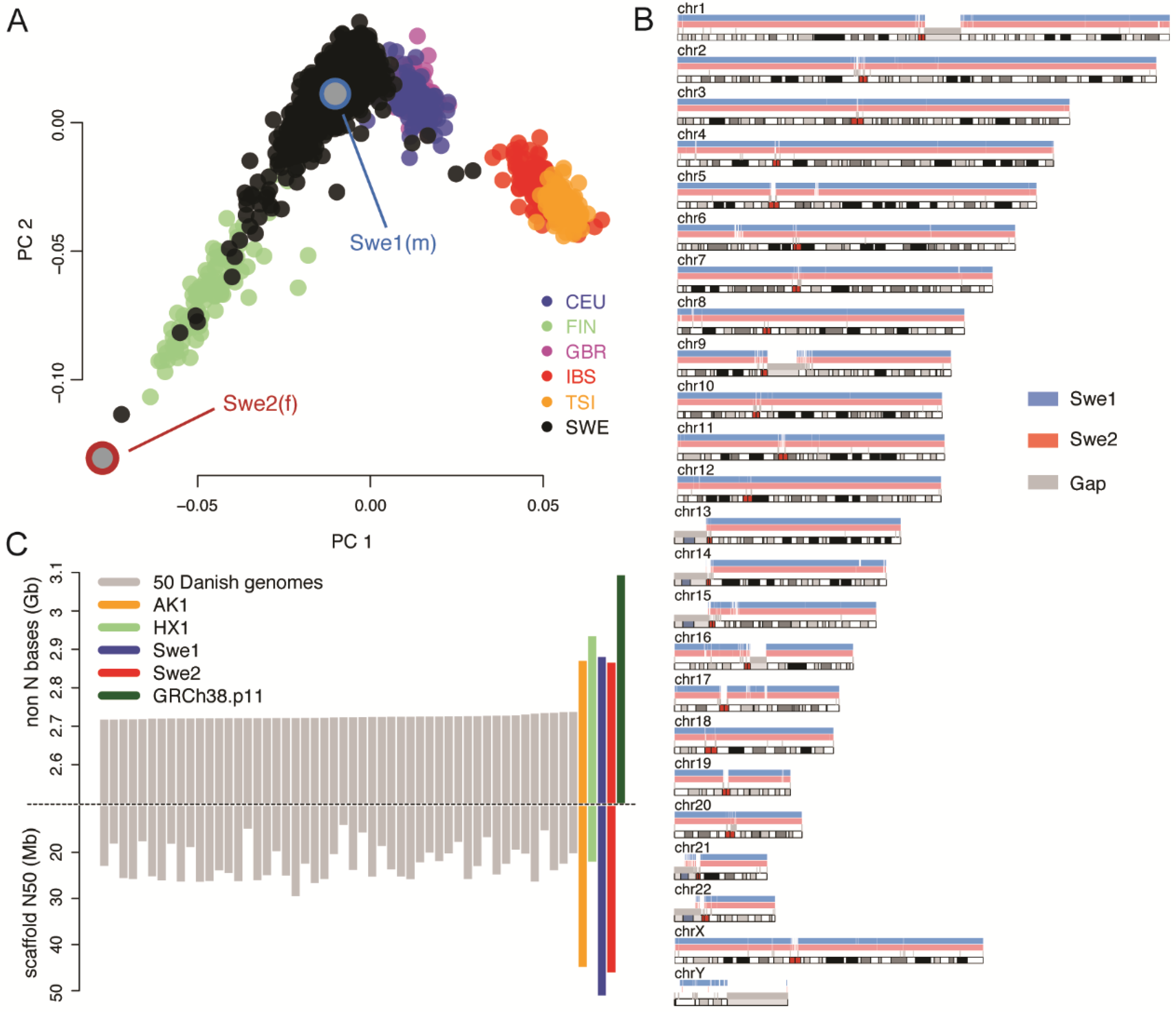 Genes Free Full Text De Novo Assembly Of Two Swedish - 