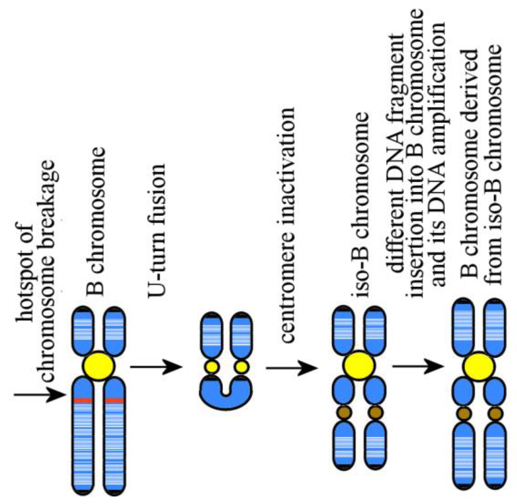 Genes 09 00490 g003 Genes 09 00490 g003