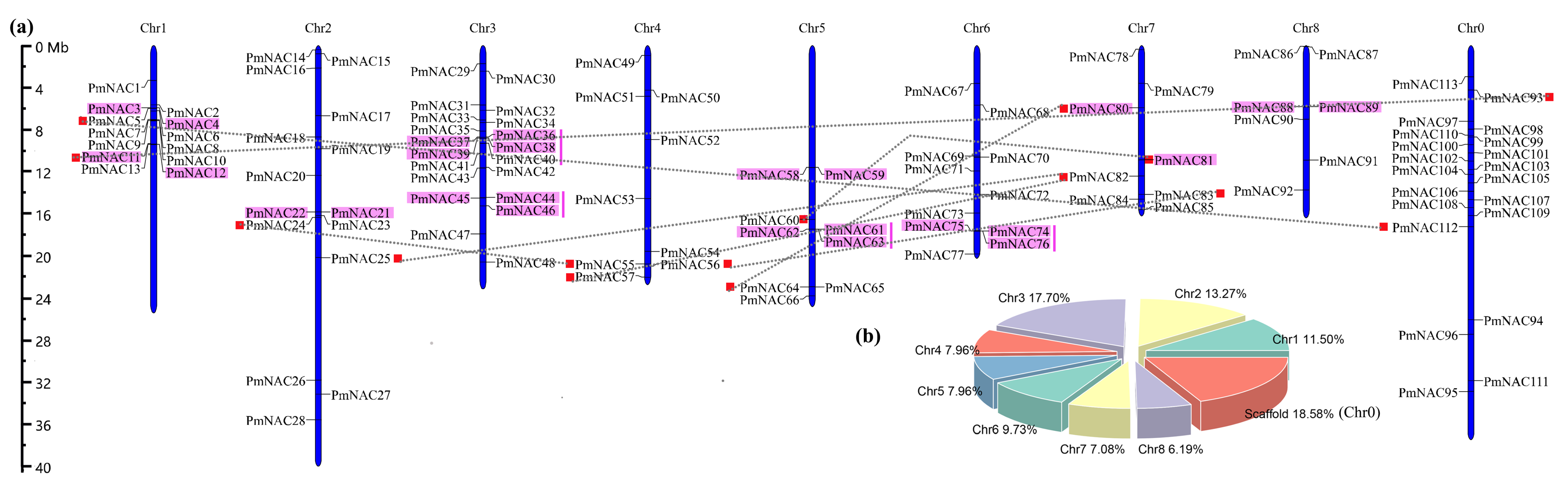 Genes 09 00494 g001