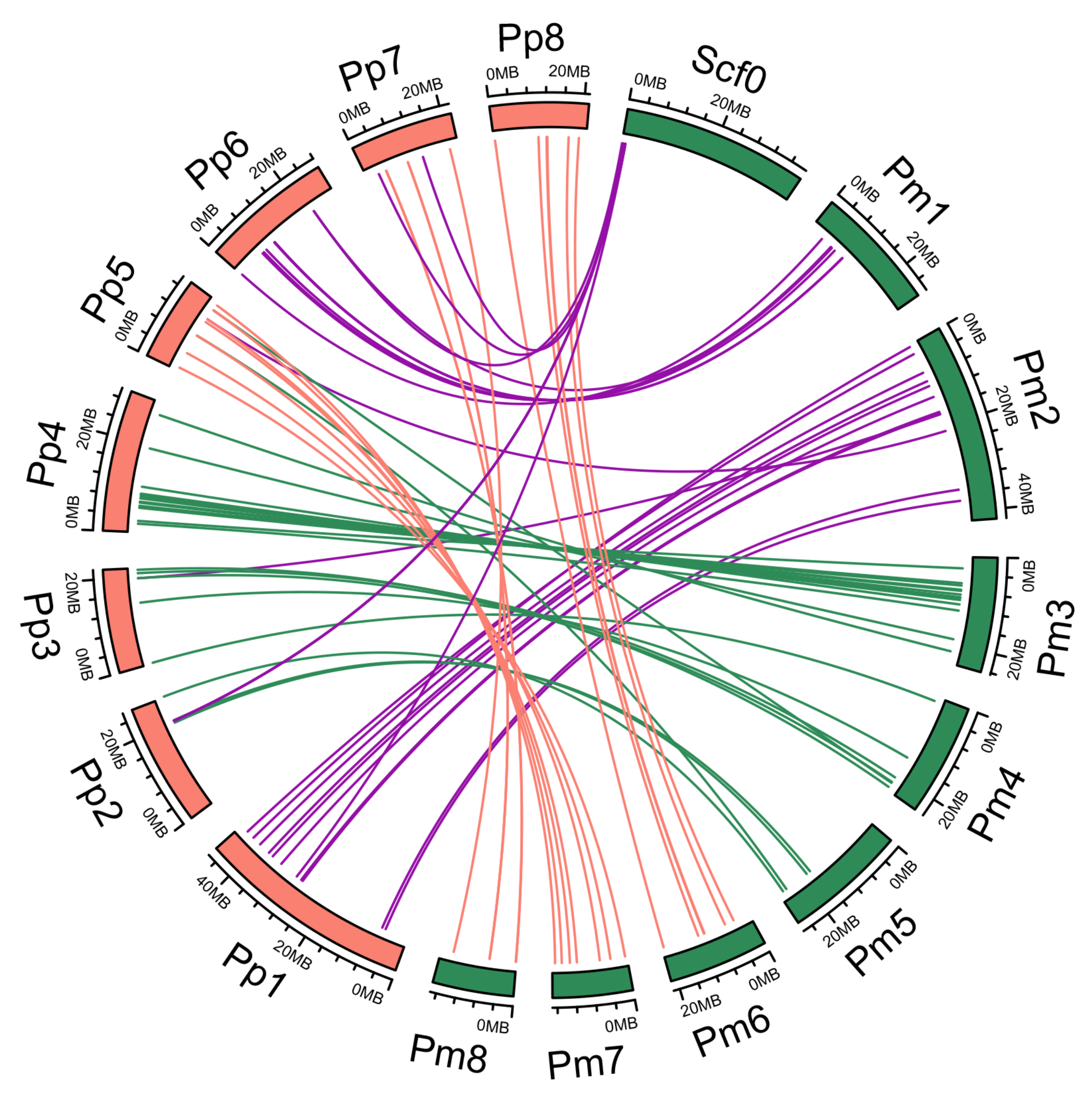 Genes 09 00494 g002