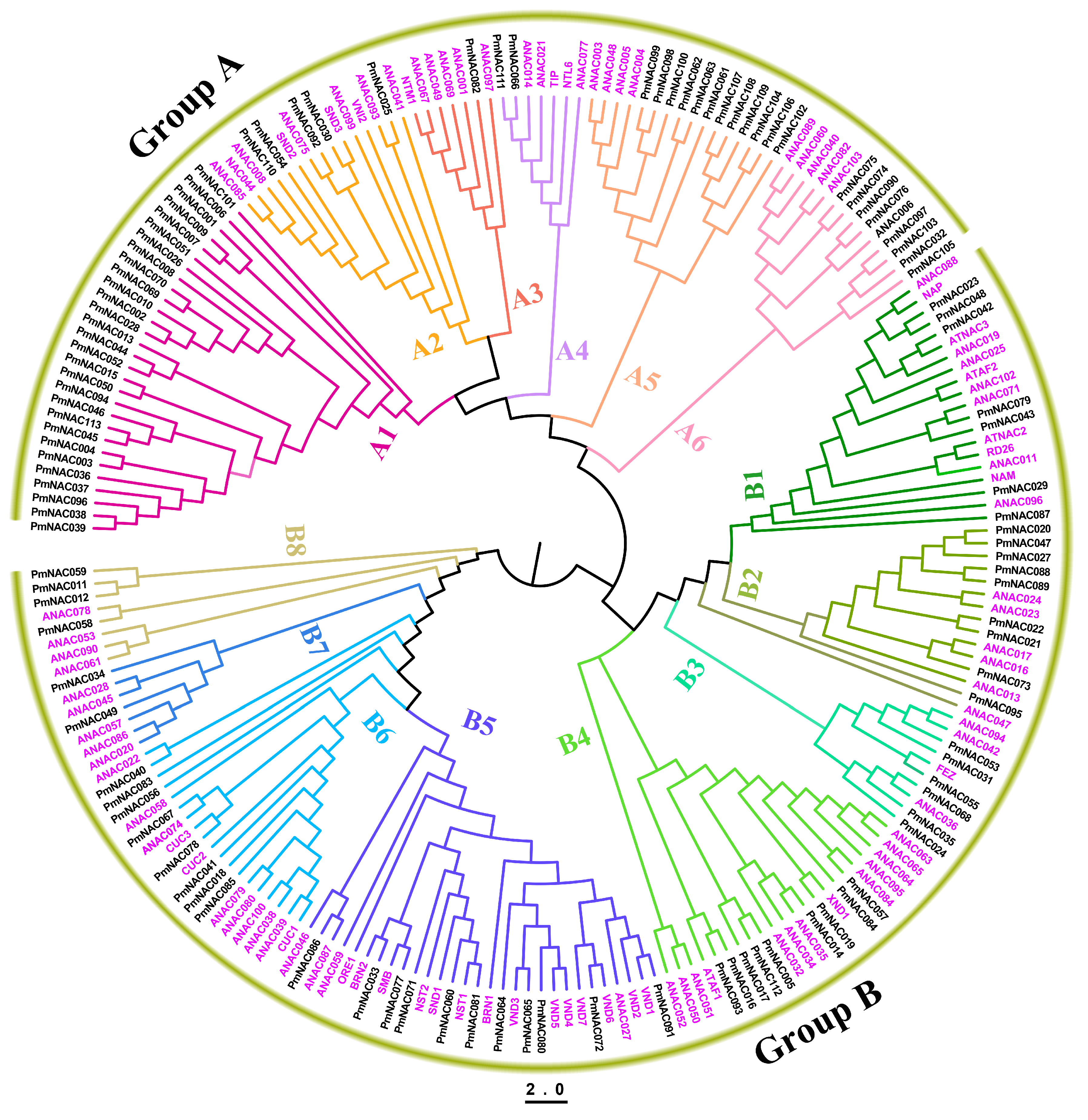 Genes 09 00494 g003