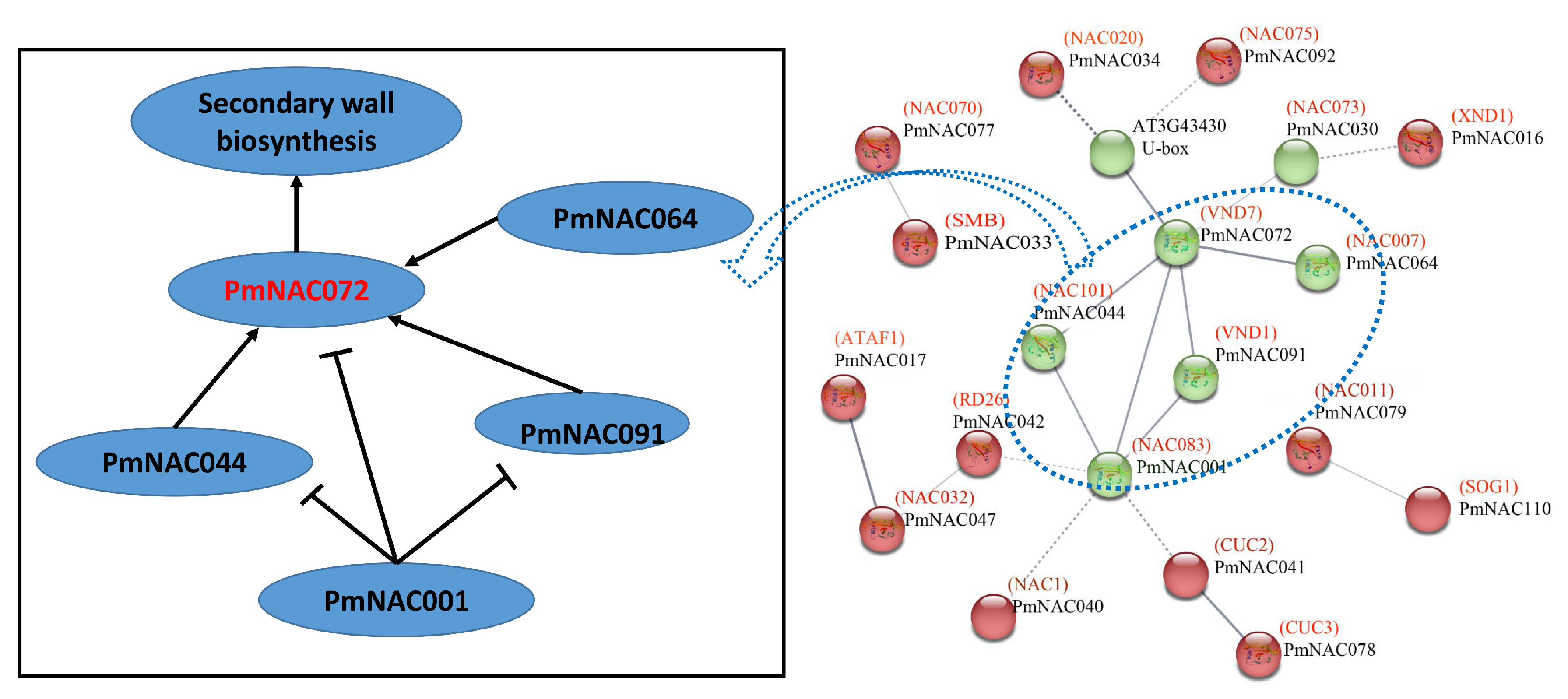 Genes 09 00494 g004