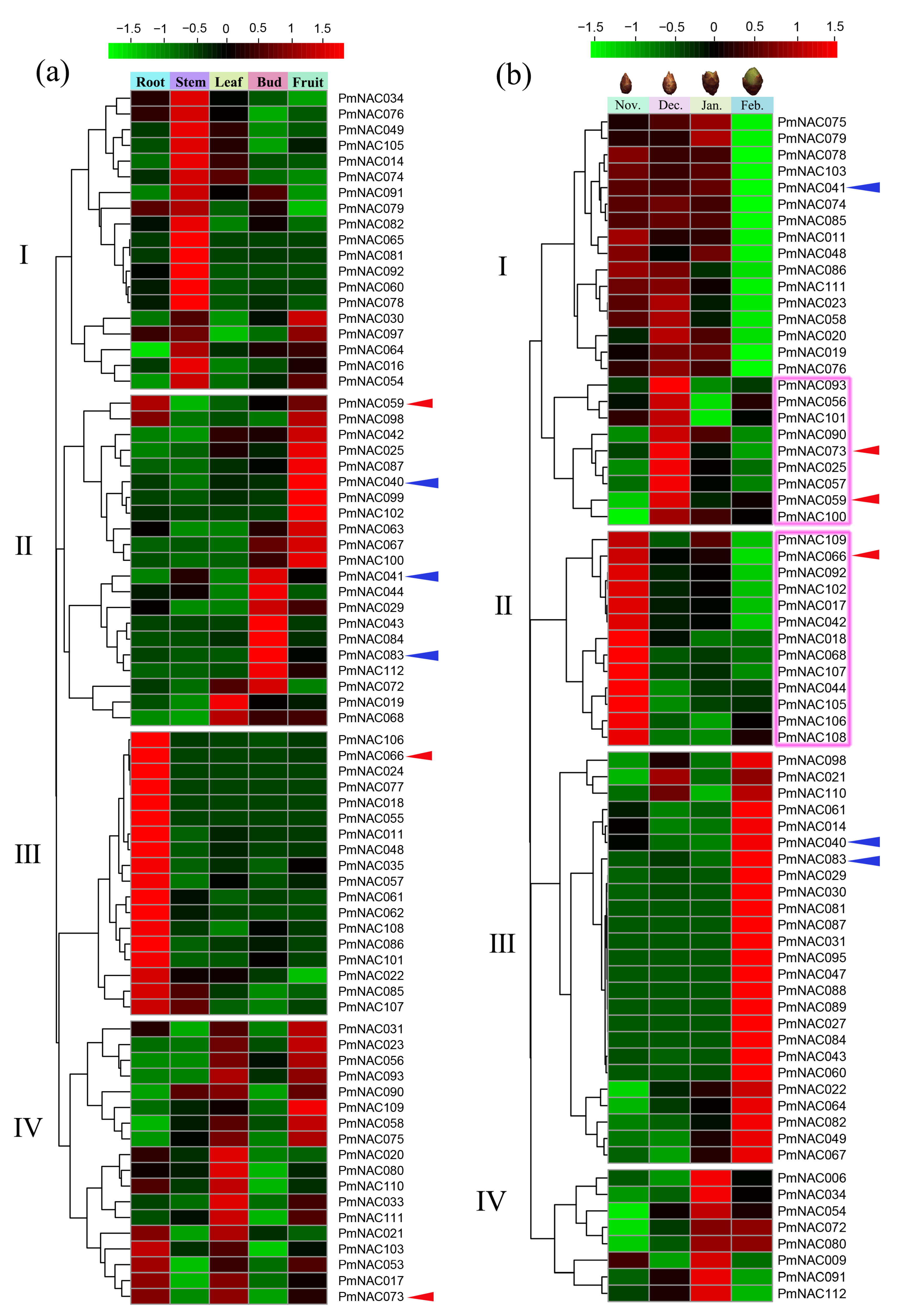 Genes 09 00494 g005