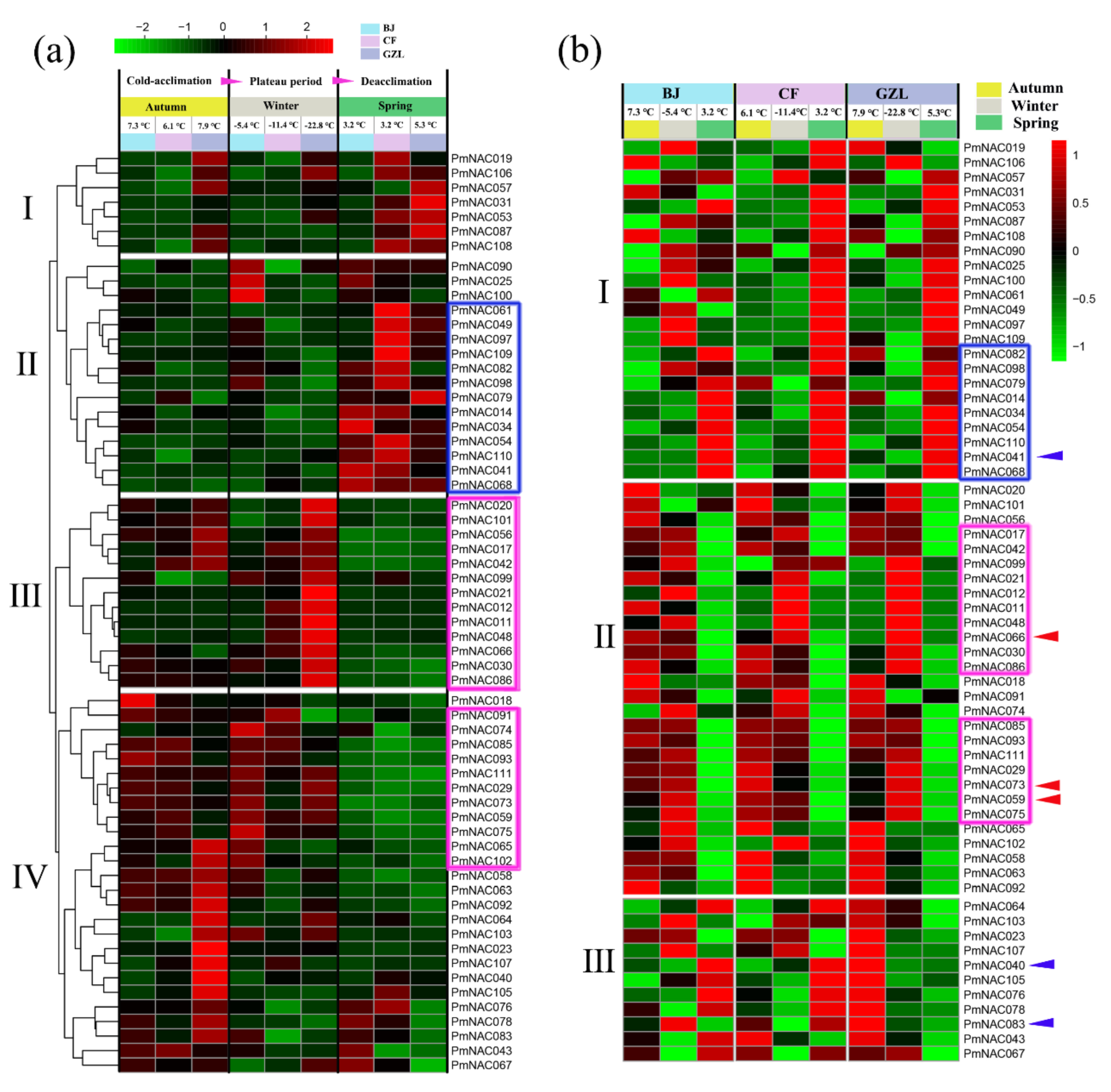 Genes 09 00494 g006