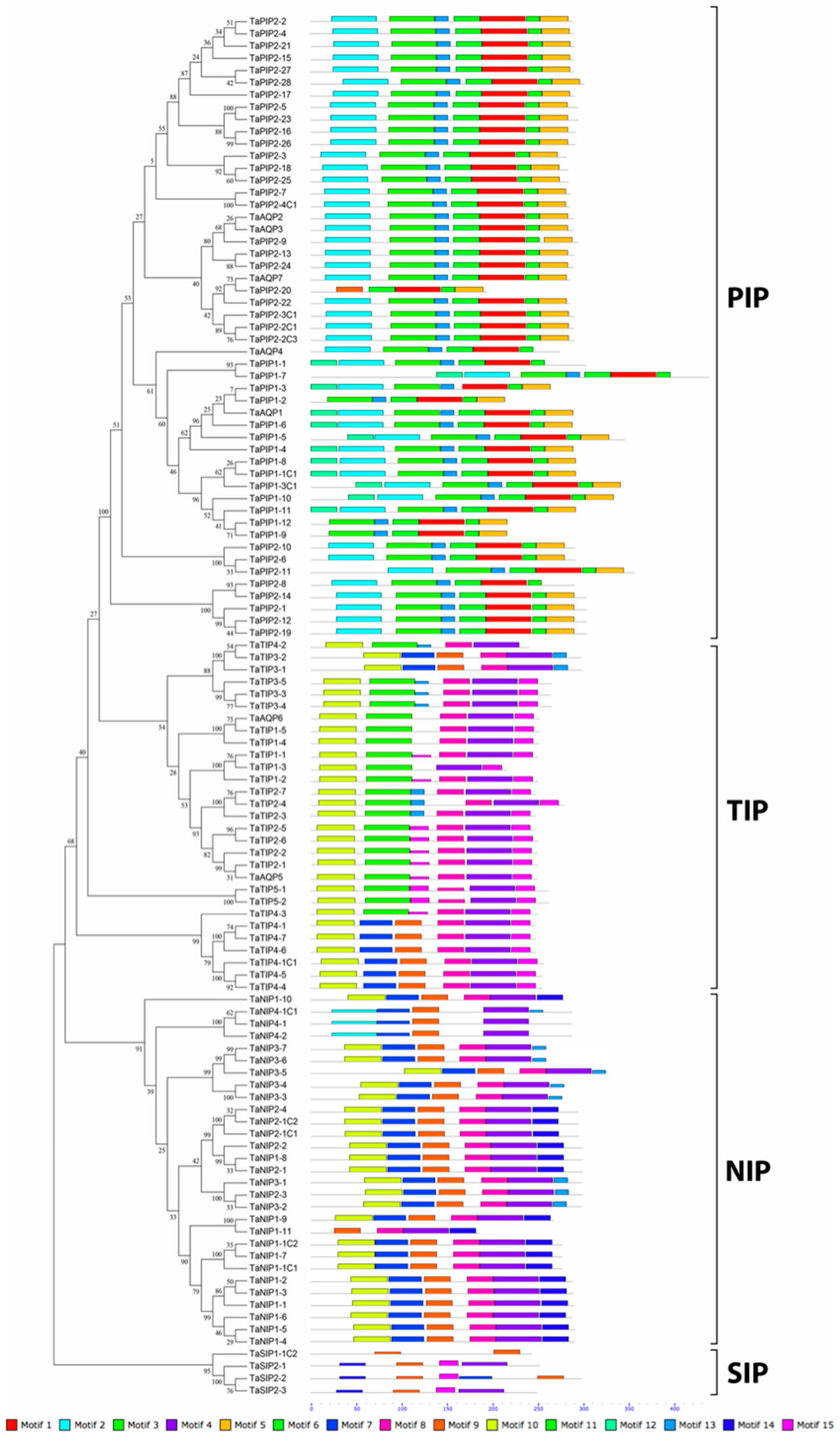 Genes 09 00497 g003 Genes 09 00497 g003