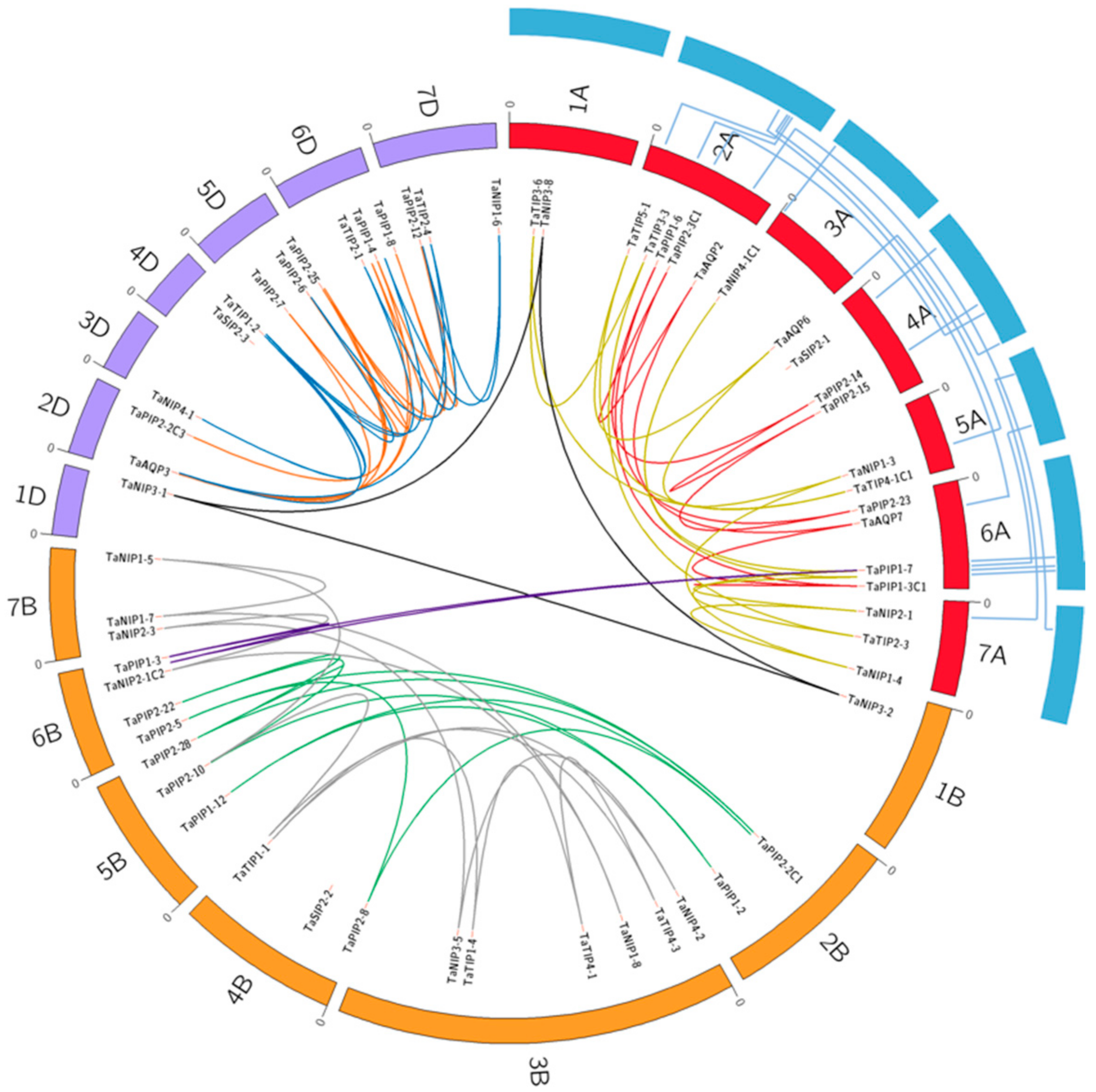 Genes 09 00497 g004 Genes 09 00497 g004