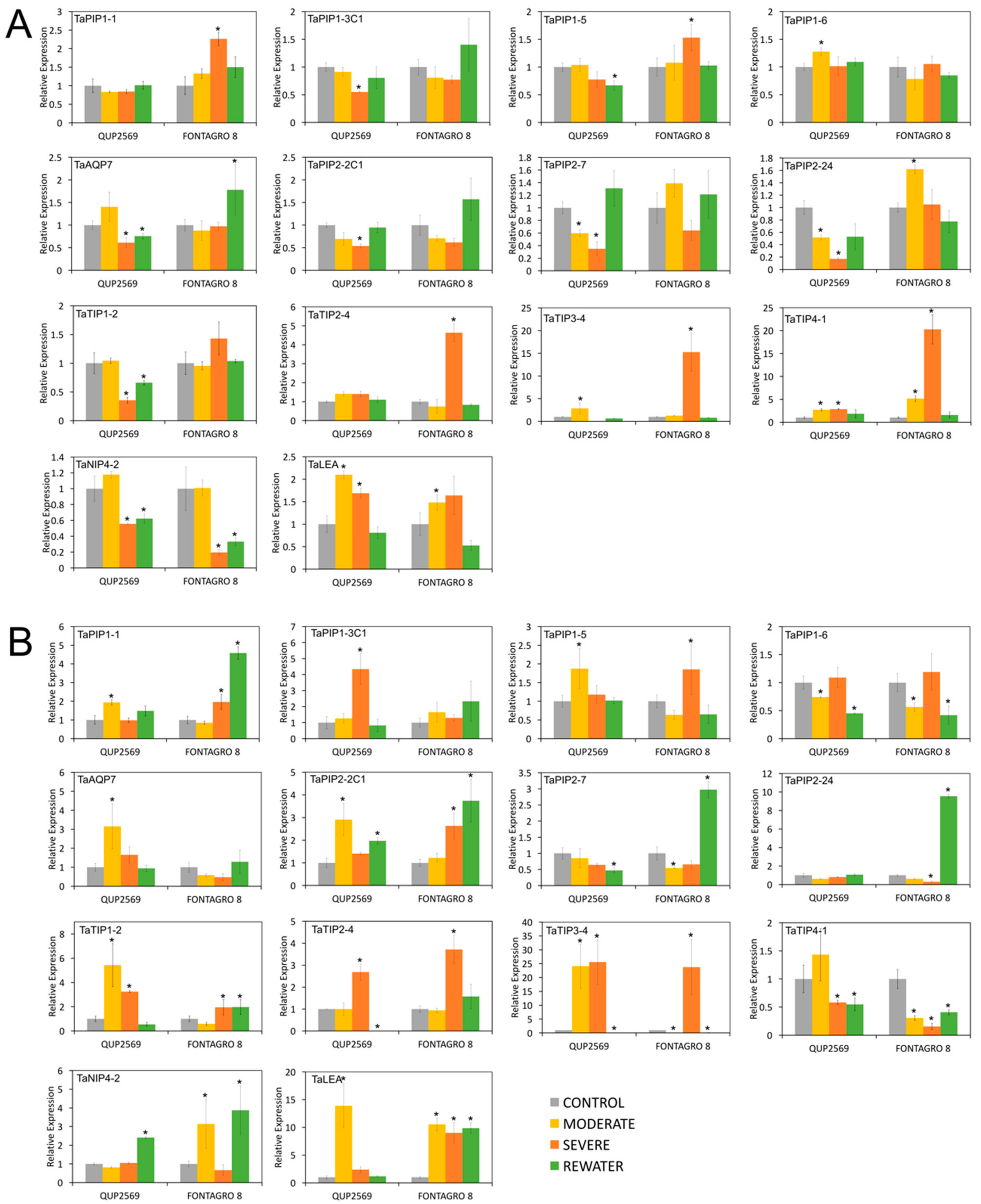 Genes 09 00497 g007 Genes 09 00497 g007