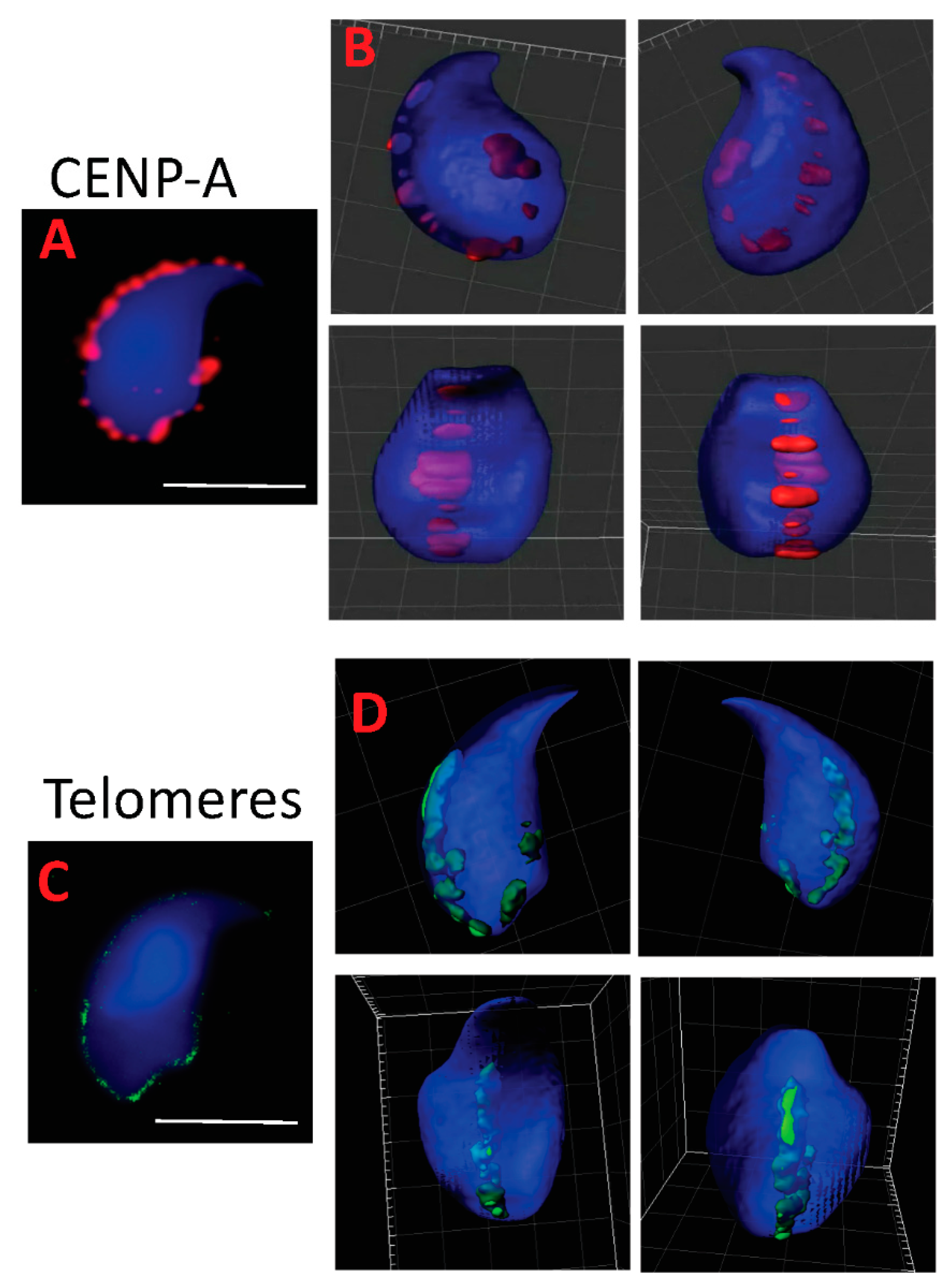Genes 09 00501 g002 Genes 09 00501 g002