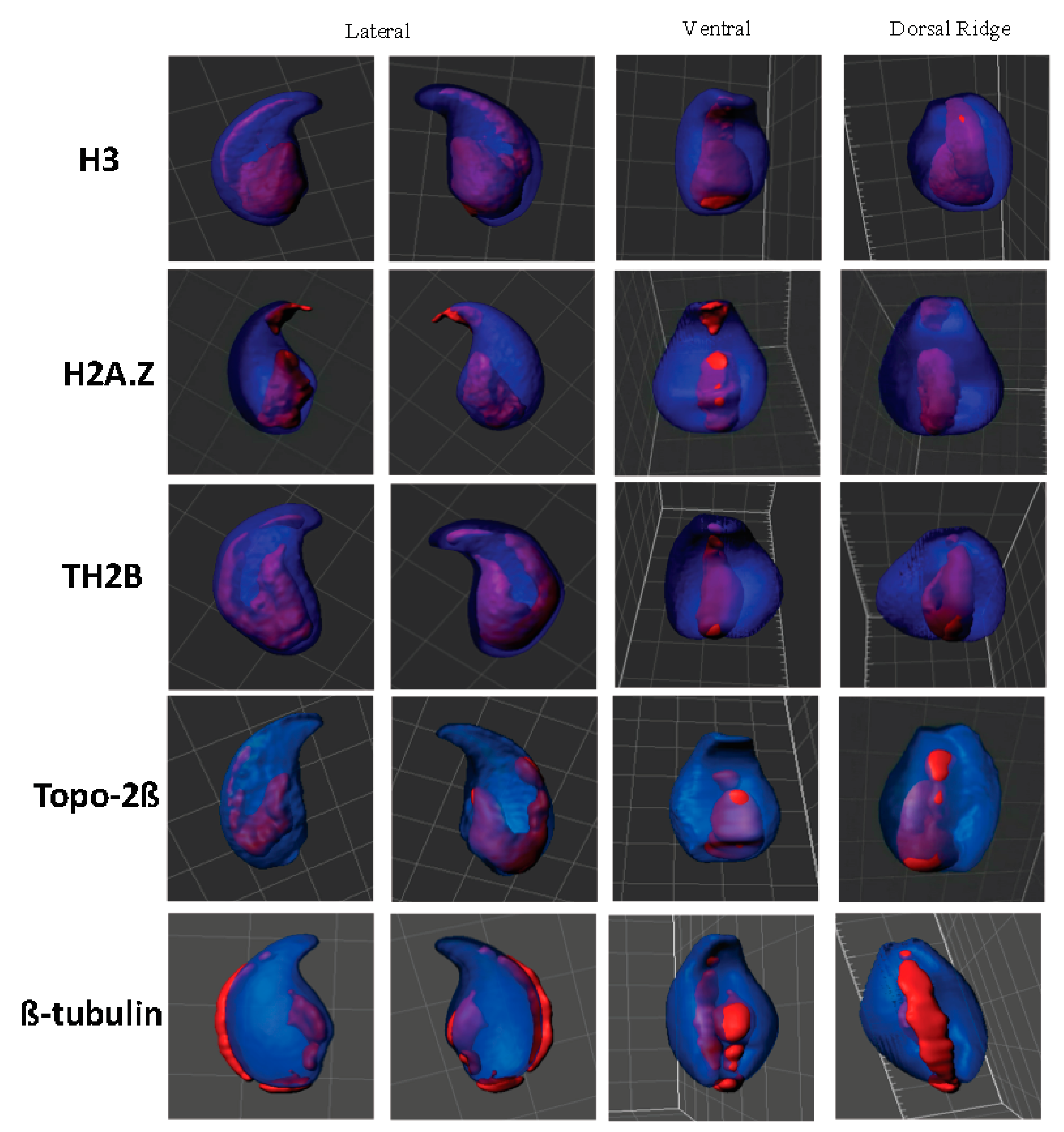 Genes 09 00501 g003 Genes 09 00501 g003