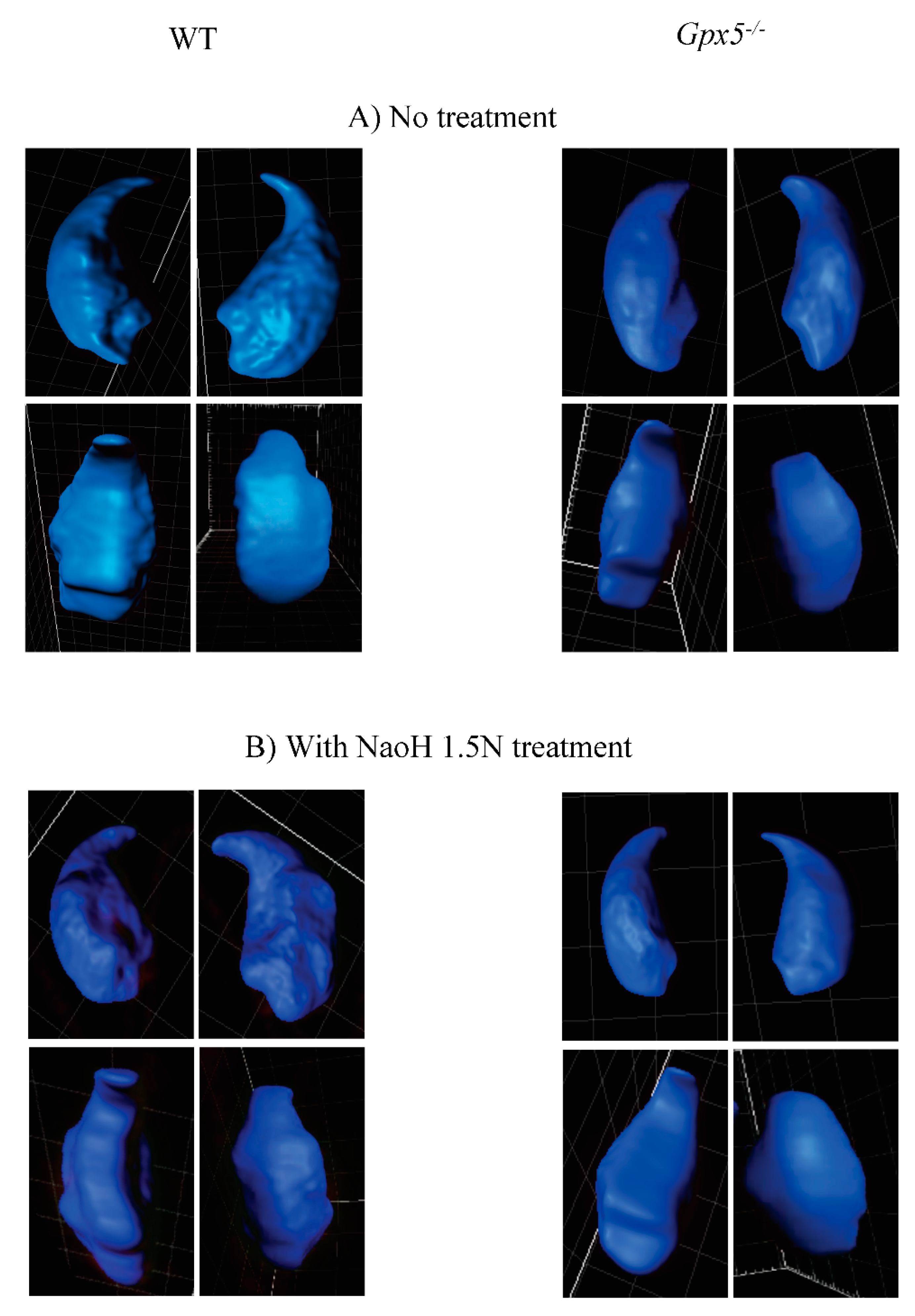 Genes 09 00501 g004a Genes 09 00501 g004a