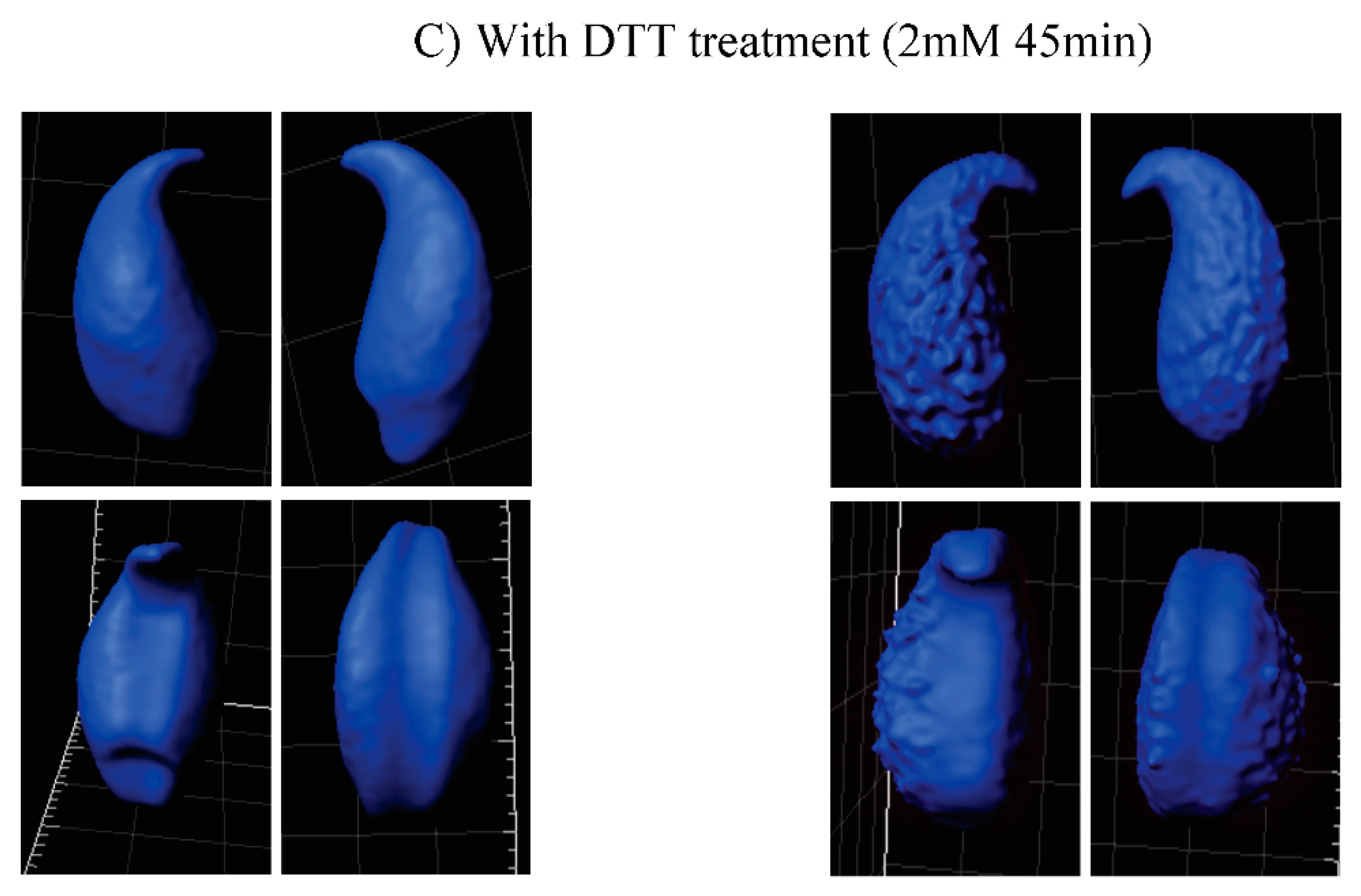 Genes 09 00501 g004b Genes 09 00501 g004b