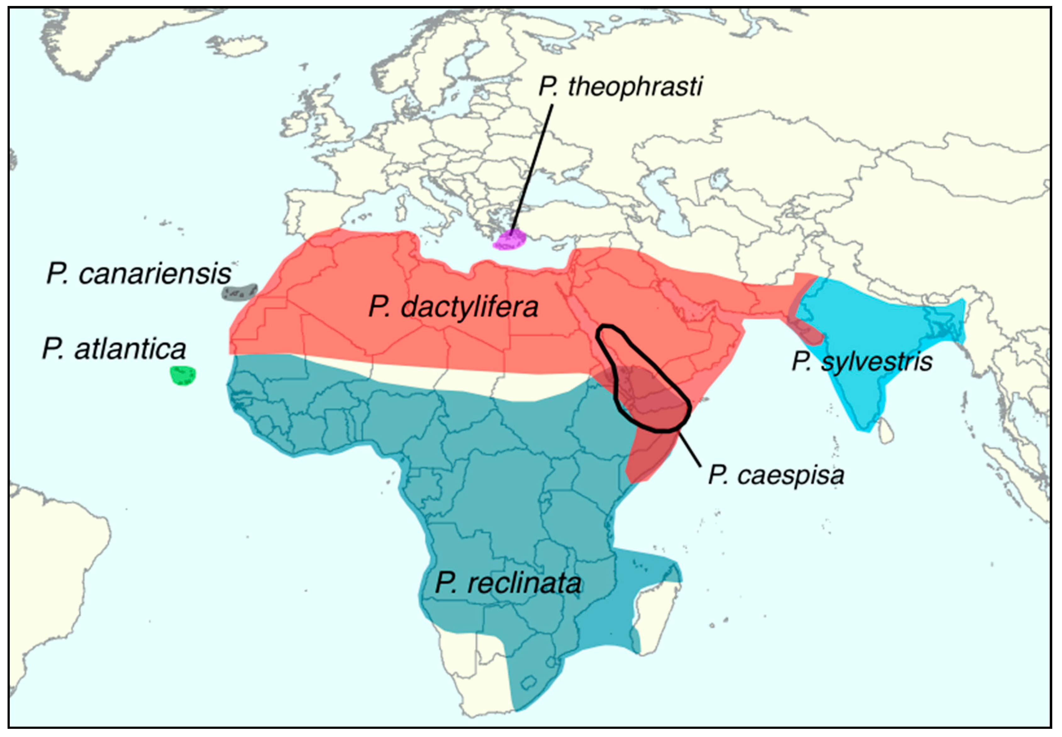 Genes 09 00502 g001
