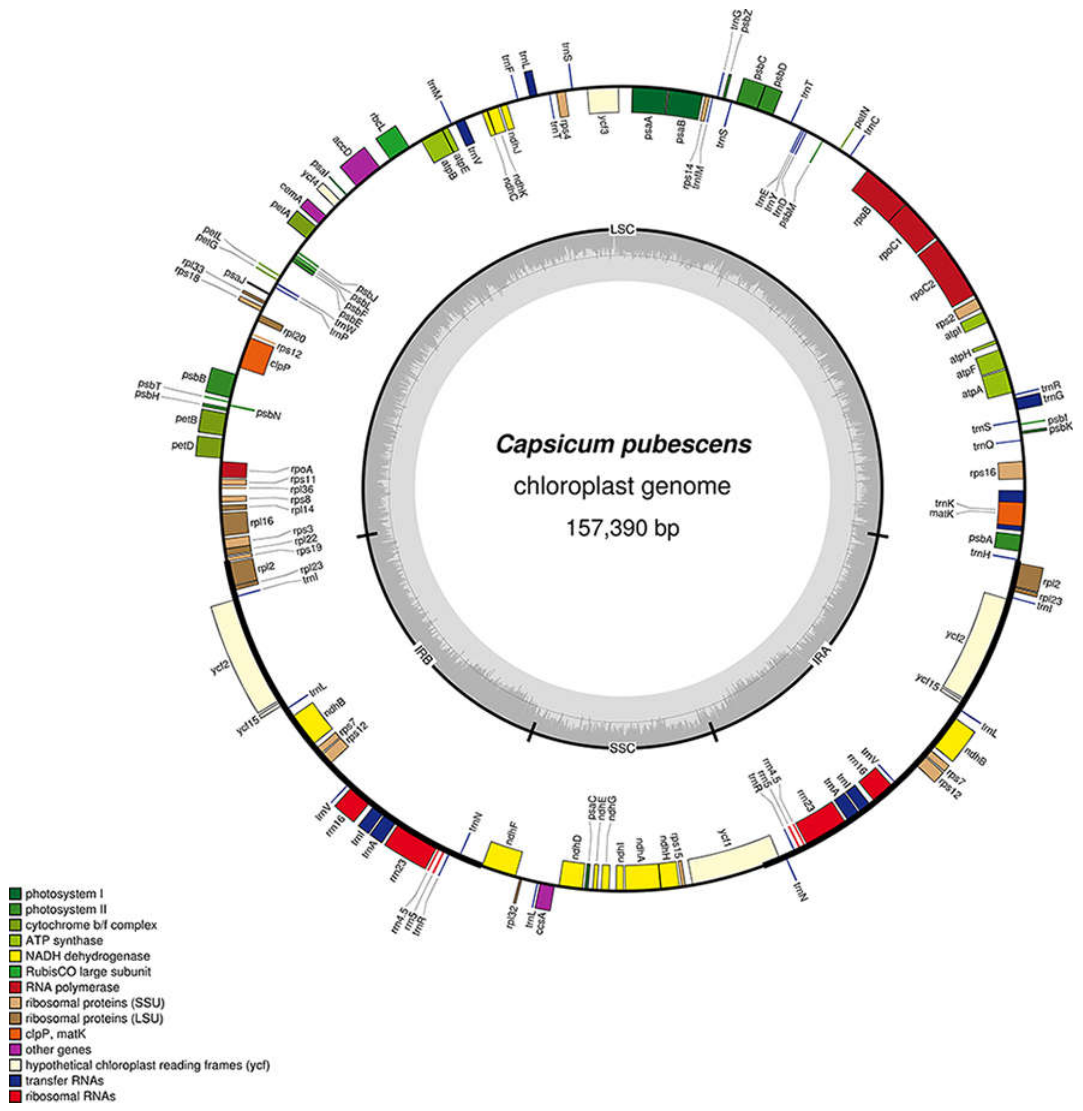 Genes 09 00503 g001