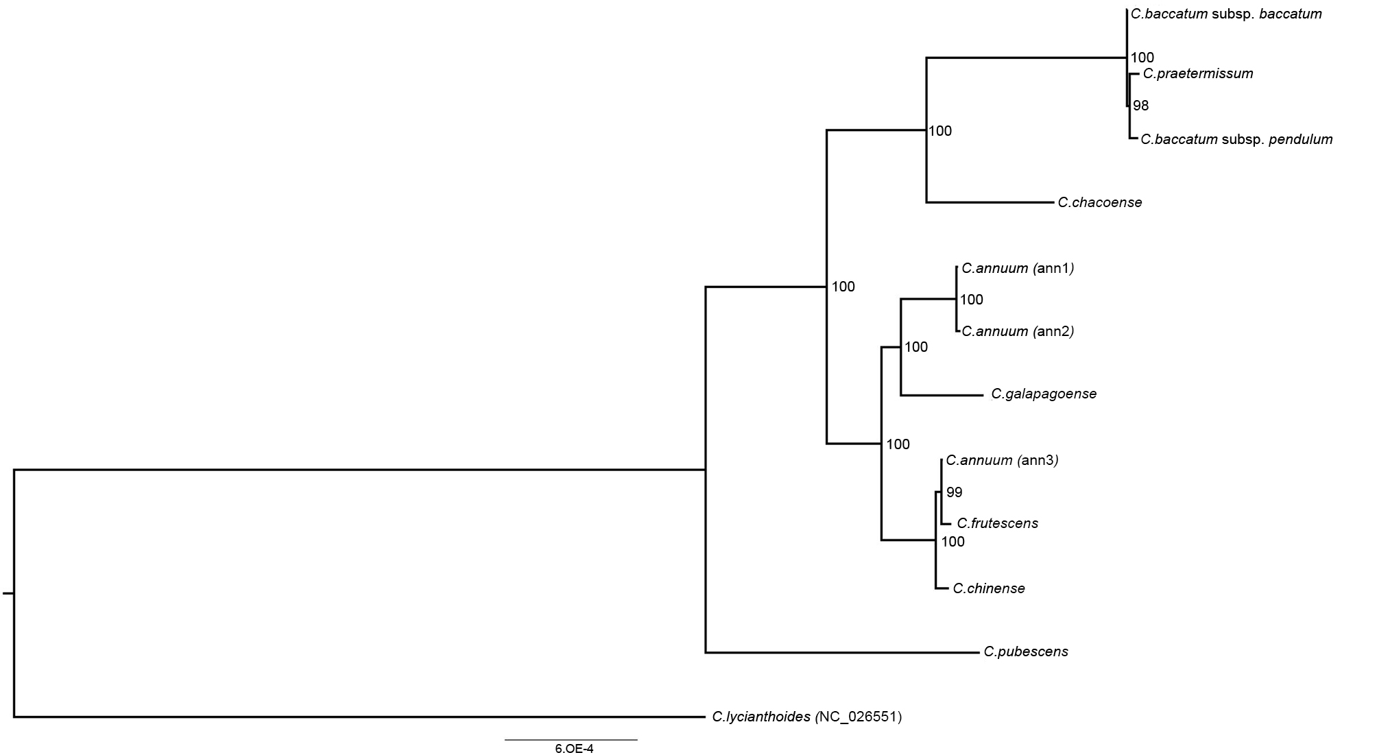 Genes 09 00503 g004