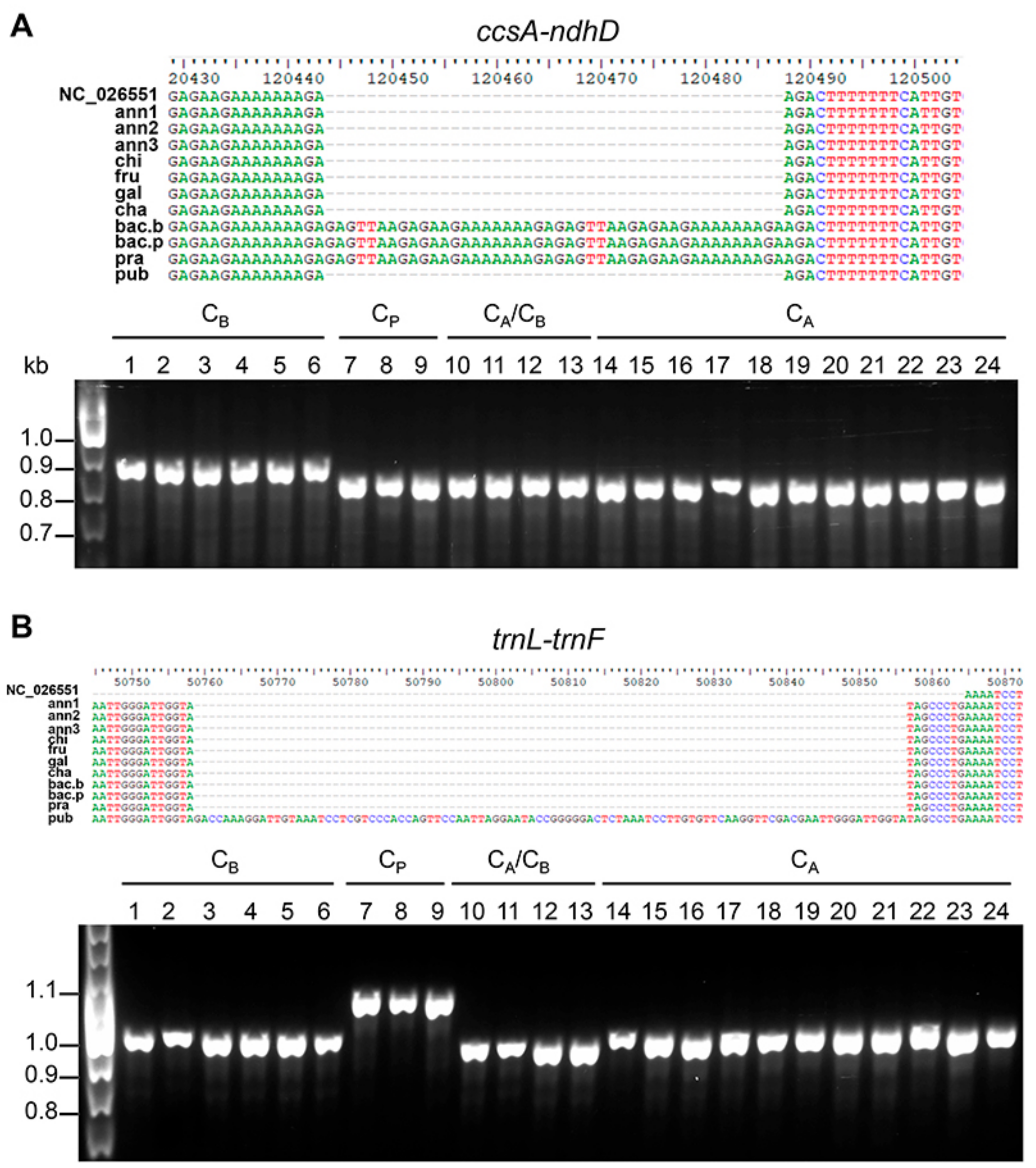 Genes 09 00503 g006