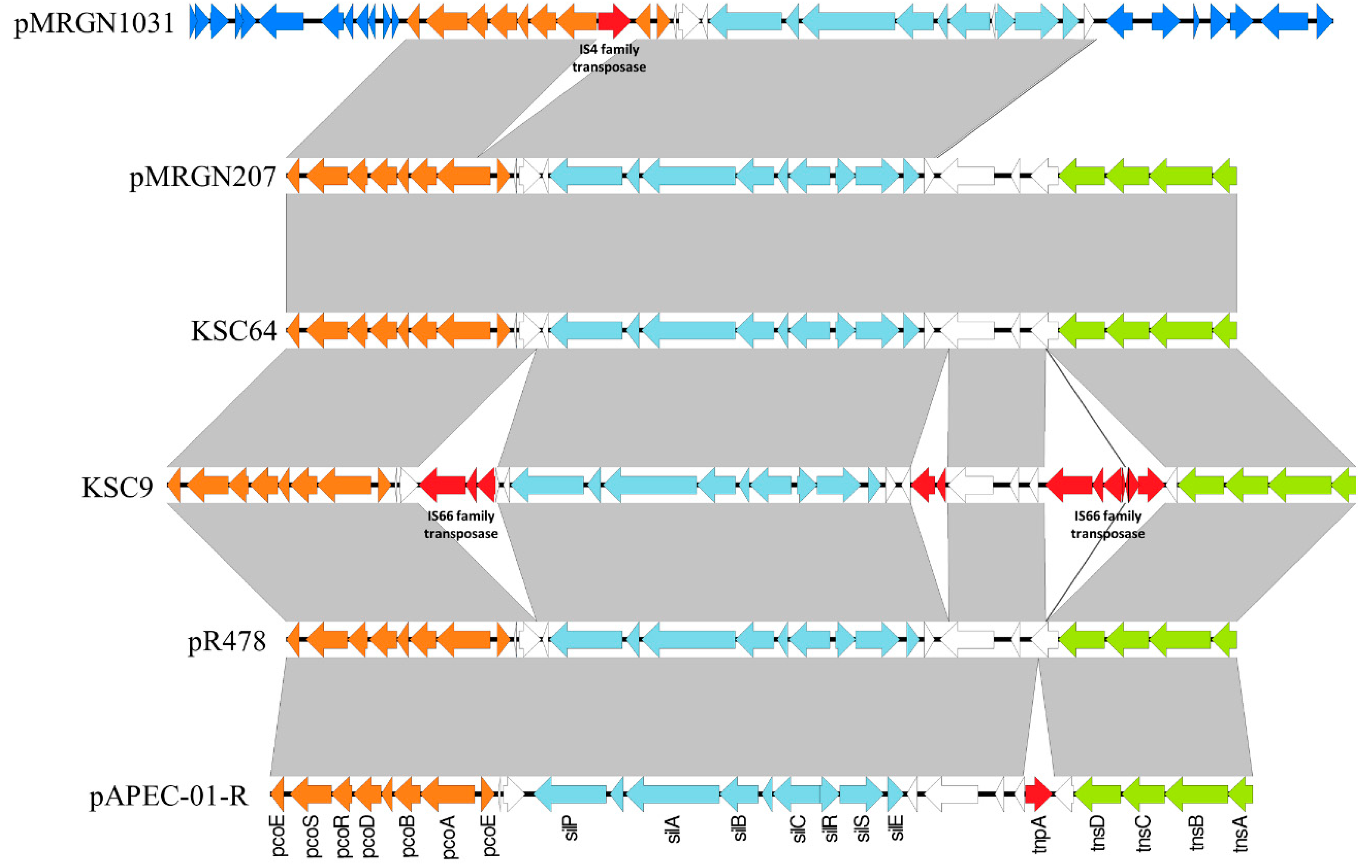 Genes 09 00504 g003 550