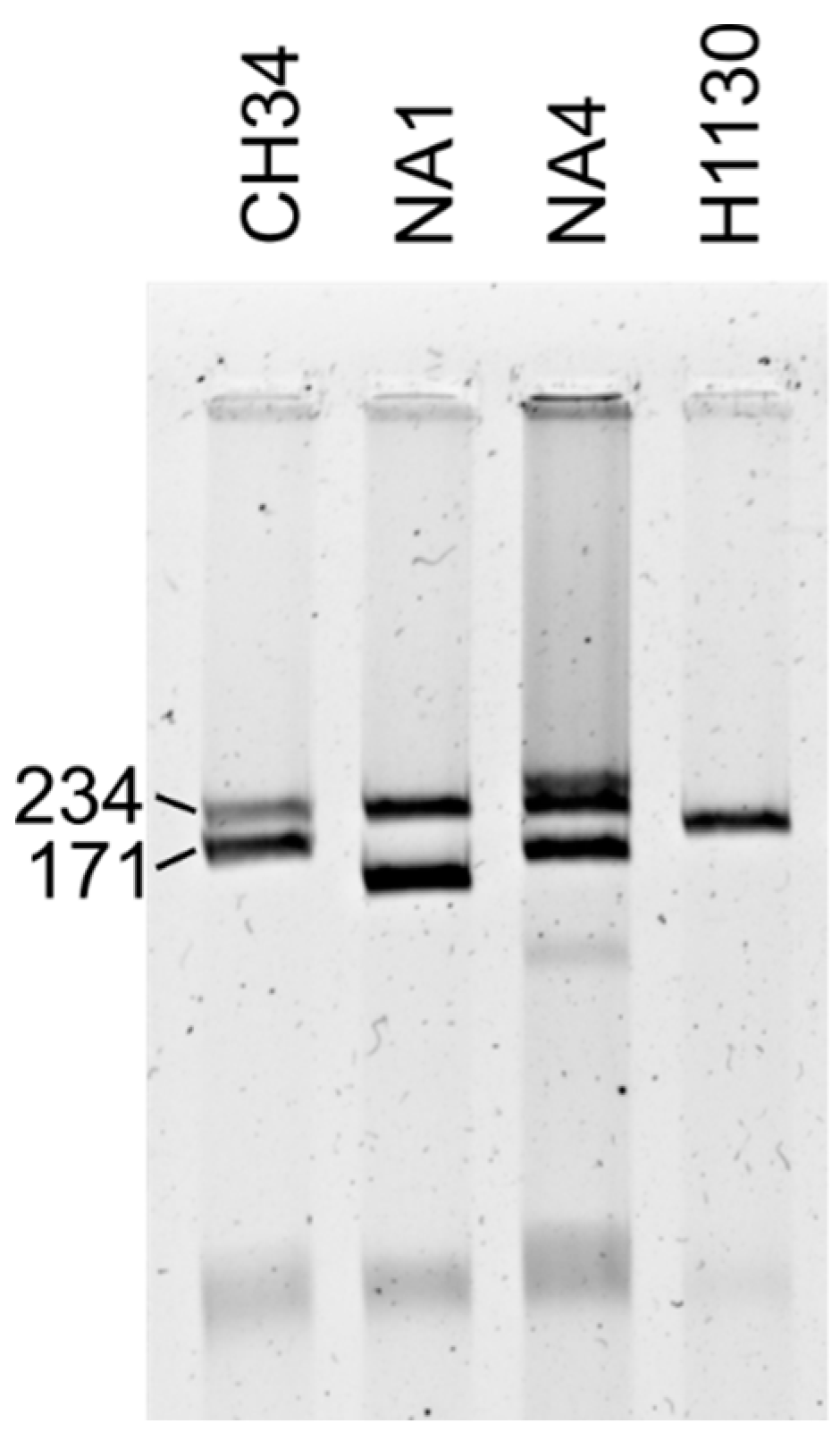 Genes 09 00507 g001