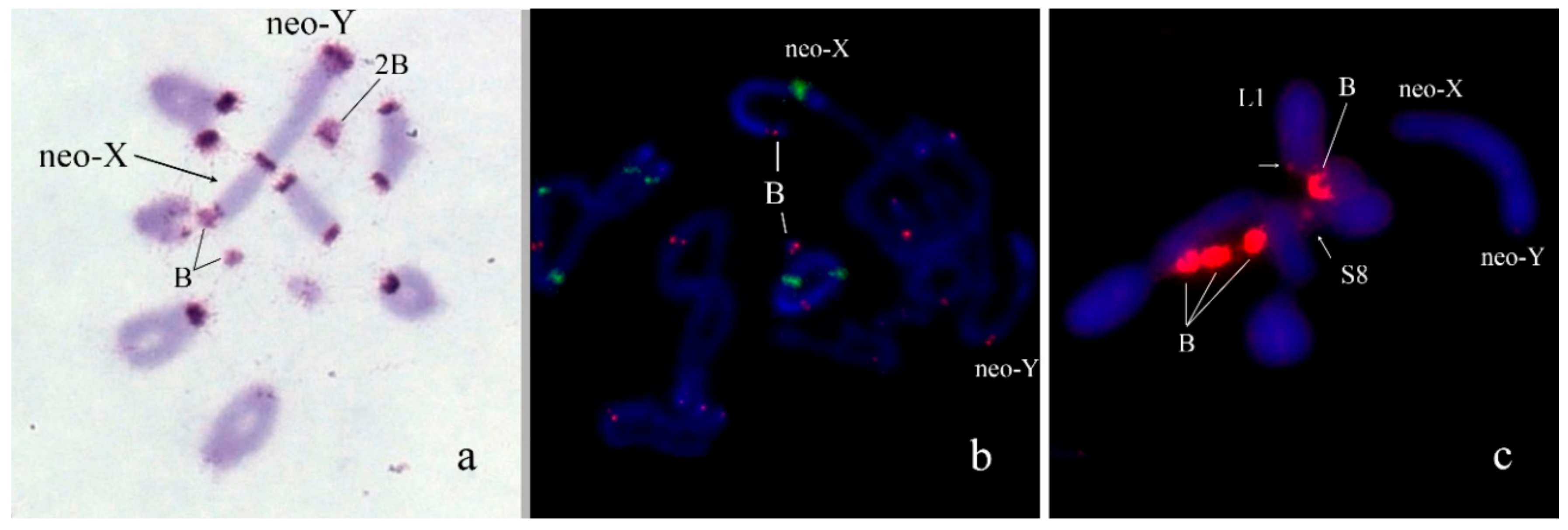 Genes 09 00509 g001 Genes 09 00509 g001