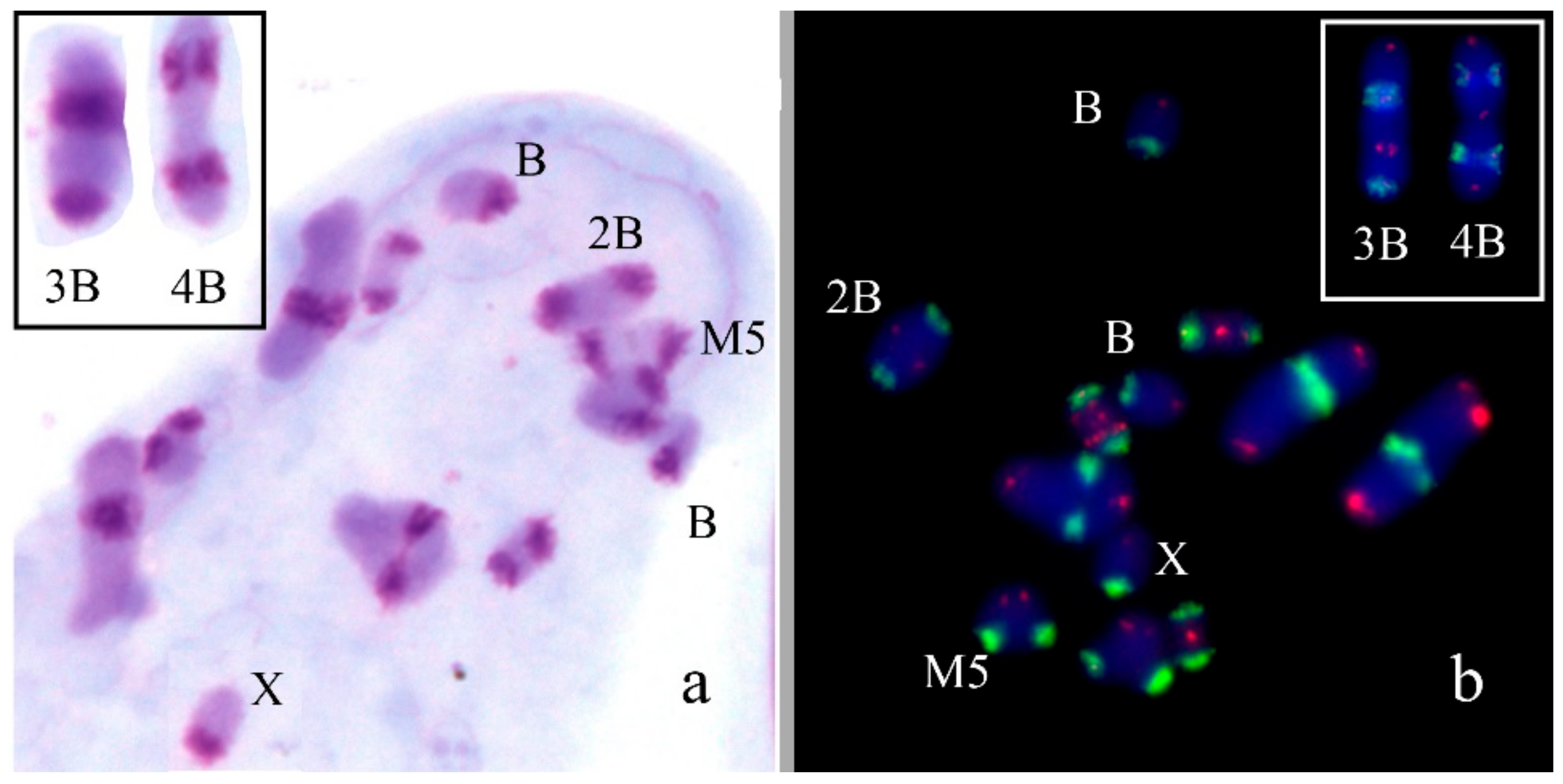 Genes 09 00509 g002 Genes 09 00509 g002
