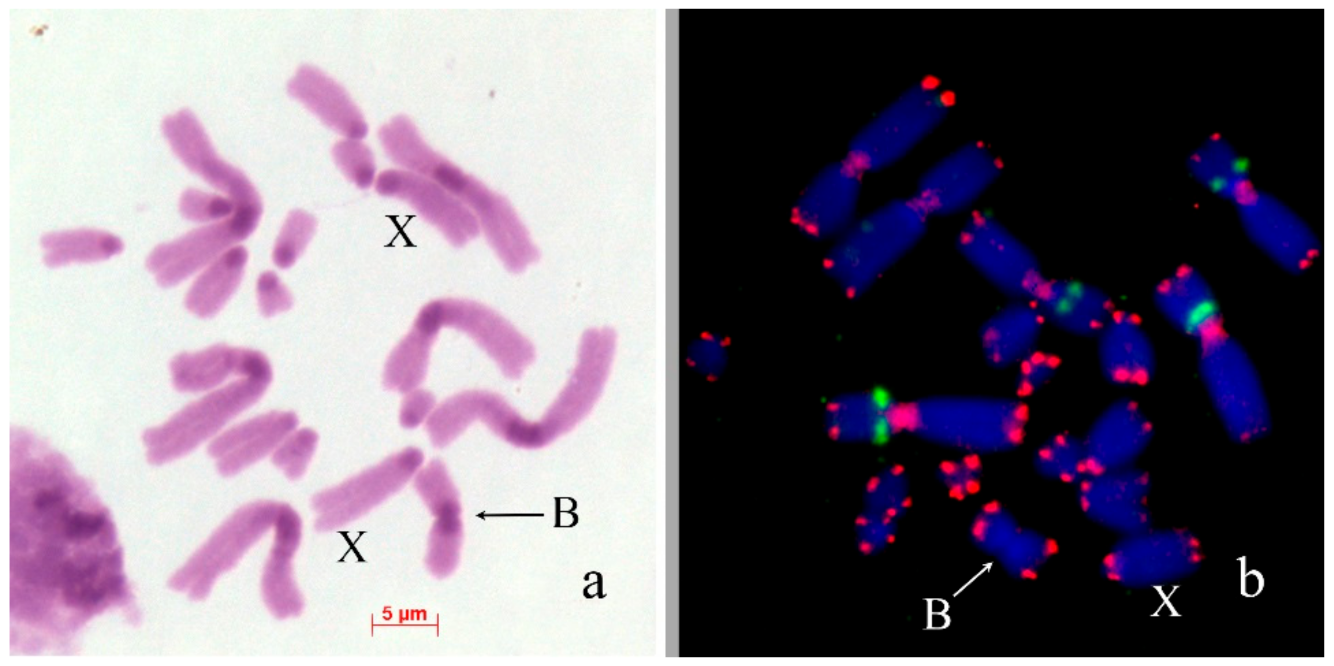 Genes 09 00509 g003 Genes 09 00509 g003