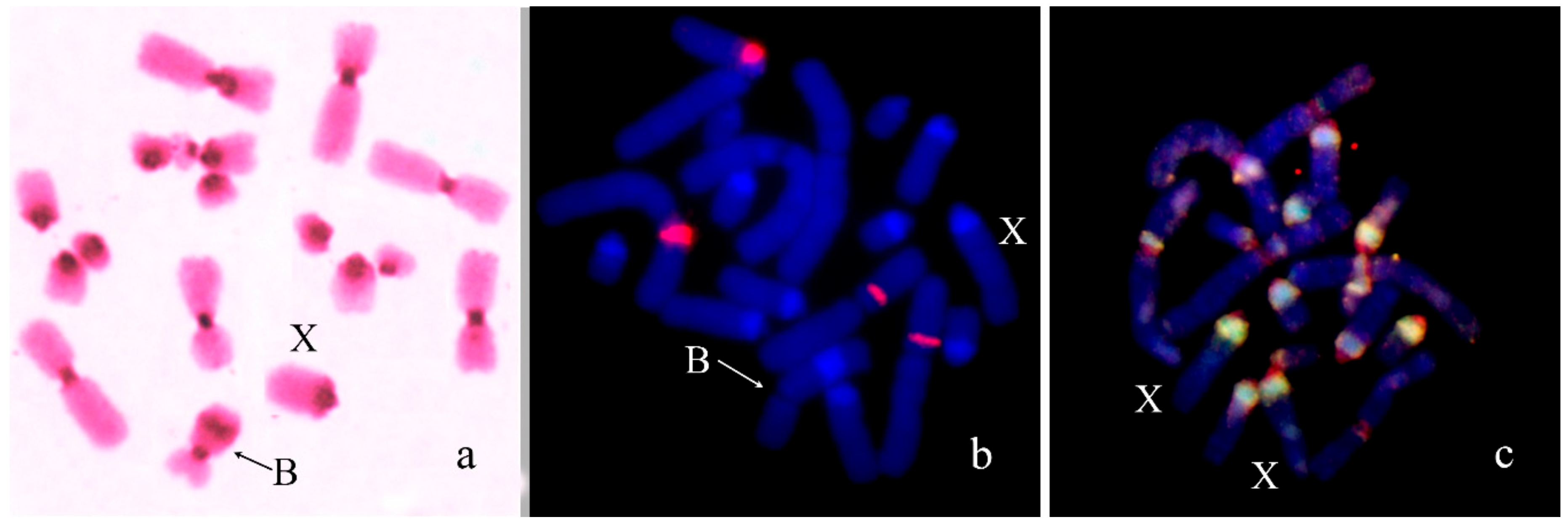 Genes 09 00509 g004 Genes 09 00509 g004